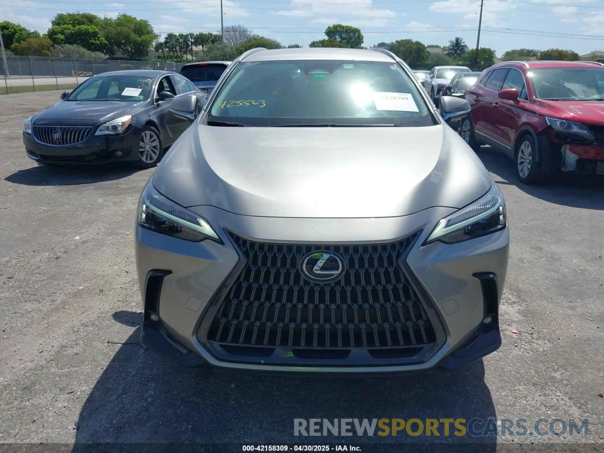 12 Photograph of a damaged car 2T2ADCAZ9RC009348 LEXUS NX 250 2024