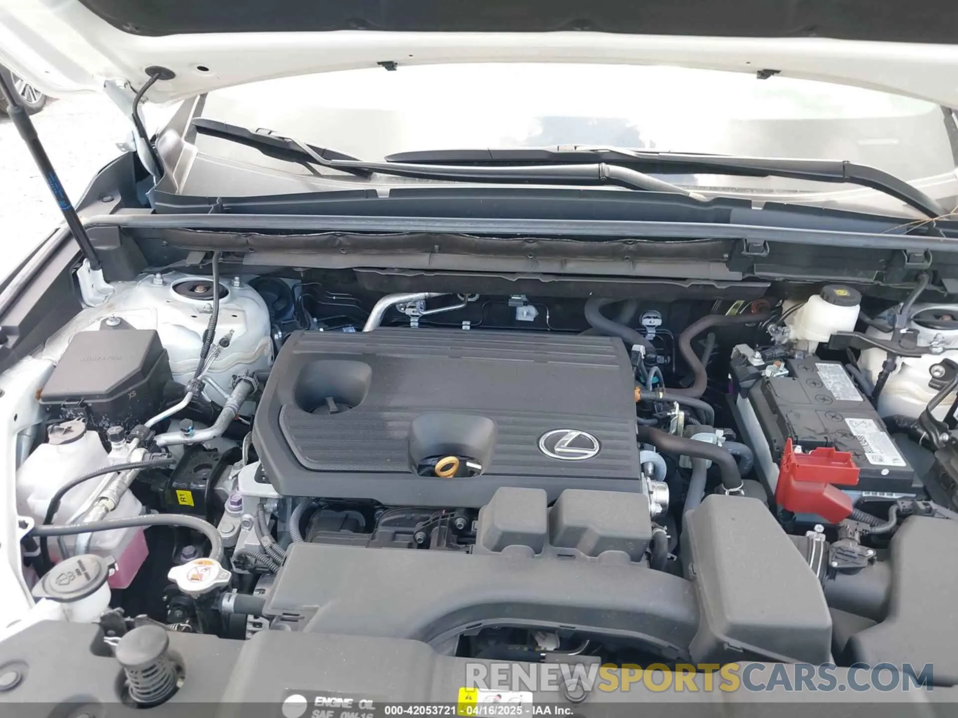 10 Photograph of a damaged car 2T2ADCAZ9RC015022 LEXUS NX 250 2024