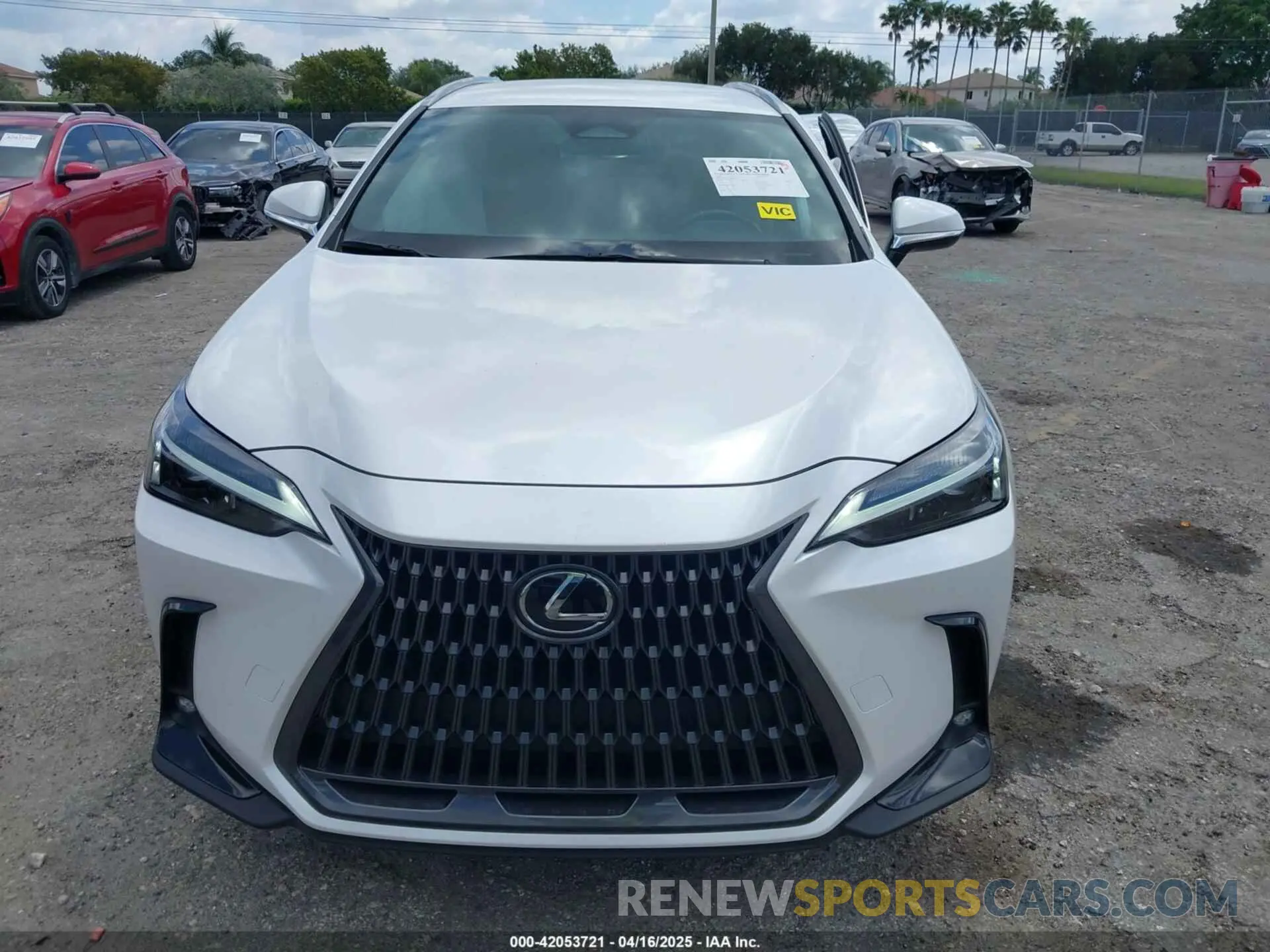 12 Photograph of a damaged car 2T2ADCAZ9RC015022 LEXUS NX 250 2024