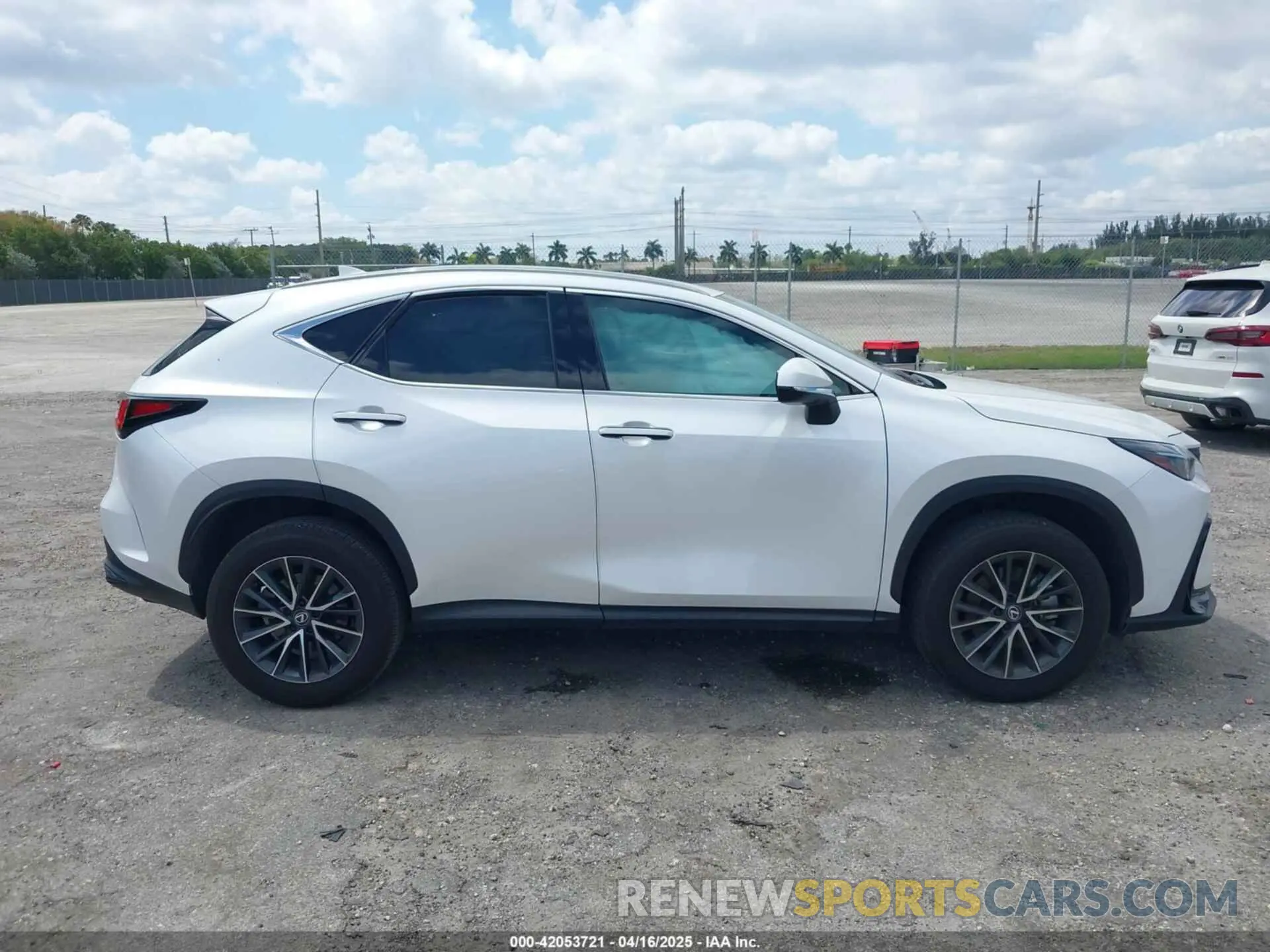 13 Photograph of a damaged car 2T2ADCAZ9RC015022 LEXUS NX 250 2024