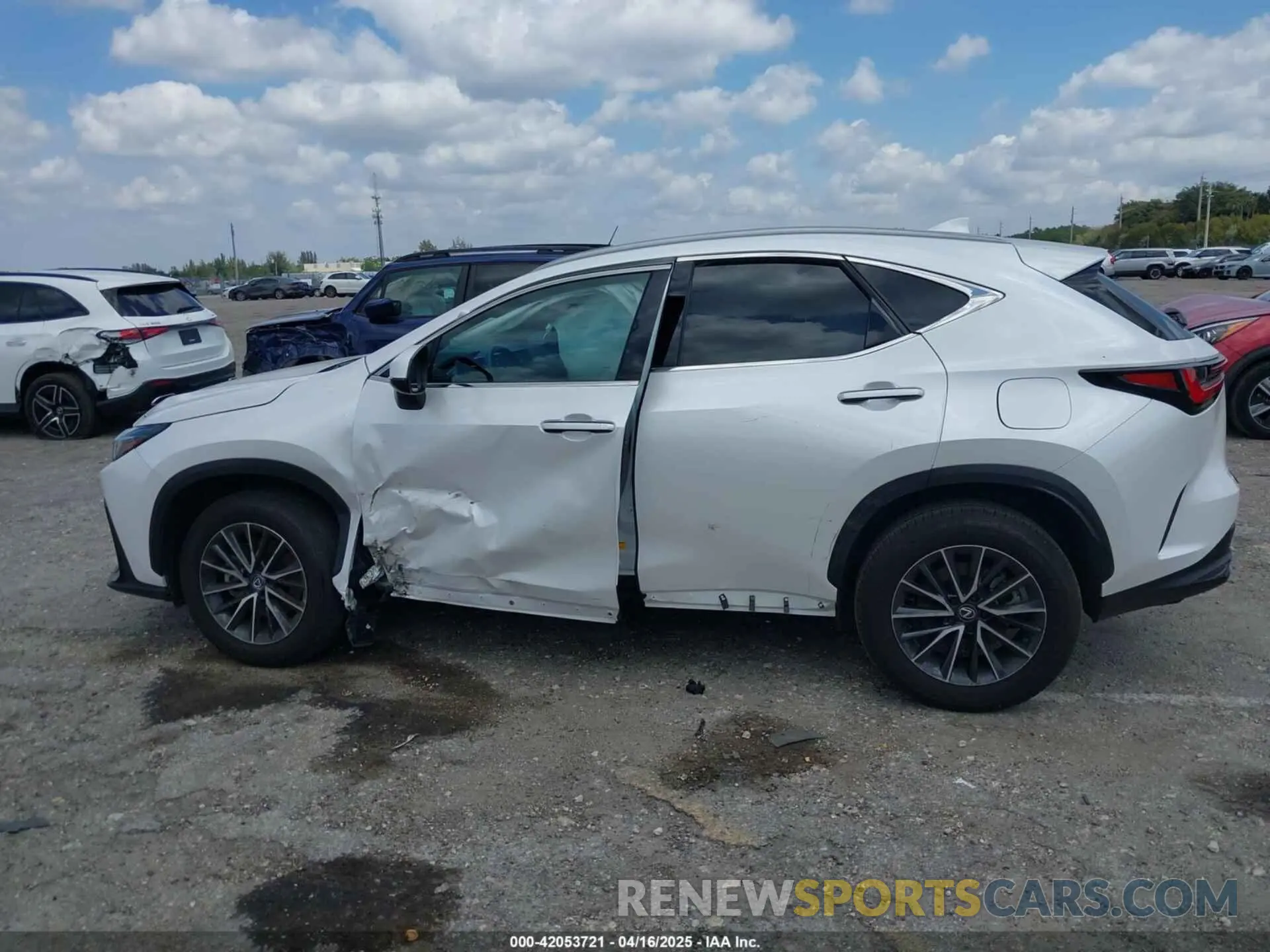 14 Photograph of a damaged car 2T2ADCAZ9RC015022 LEXUS NX 250 2024