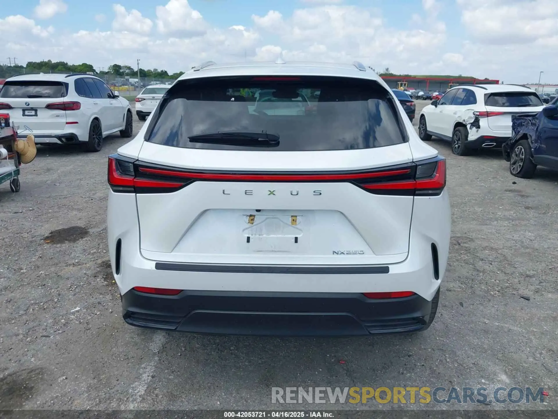 16 Photograph of a damaged car 2T2ADCAZ9RC015022 LEXUS NX 250 2024