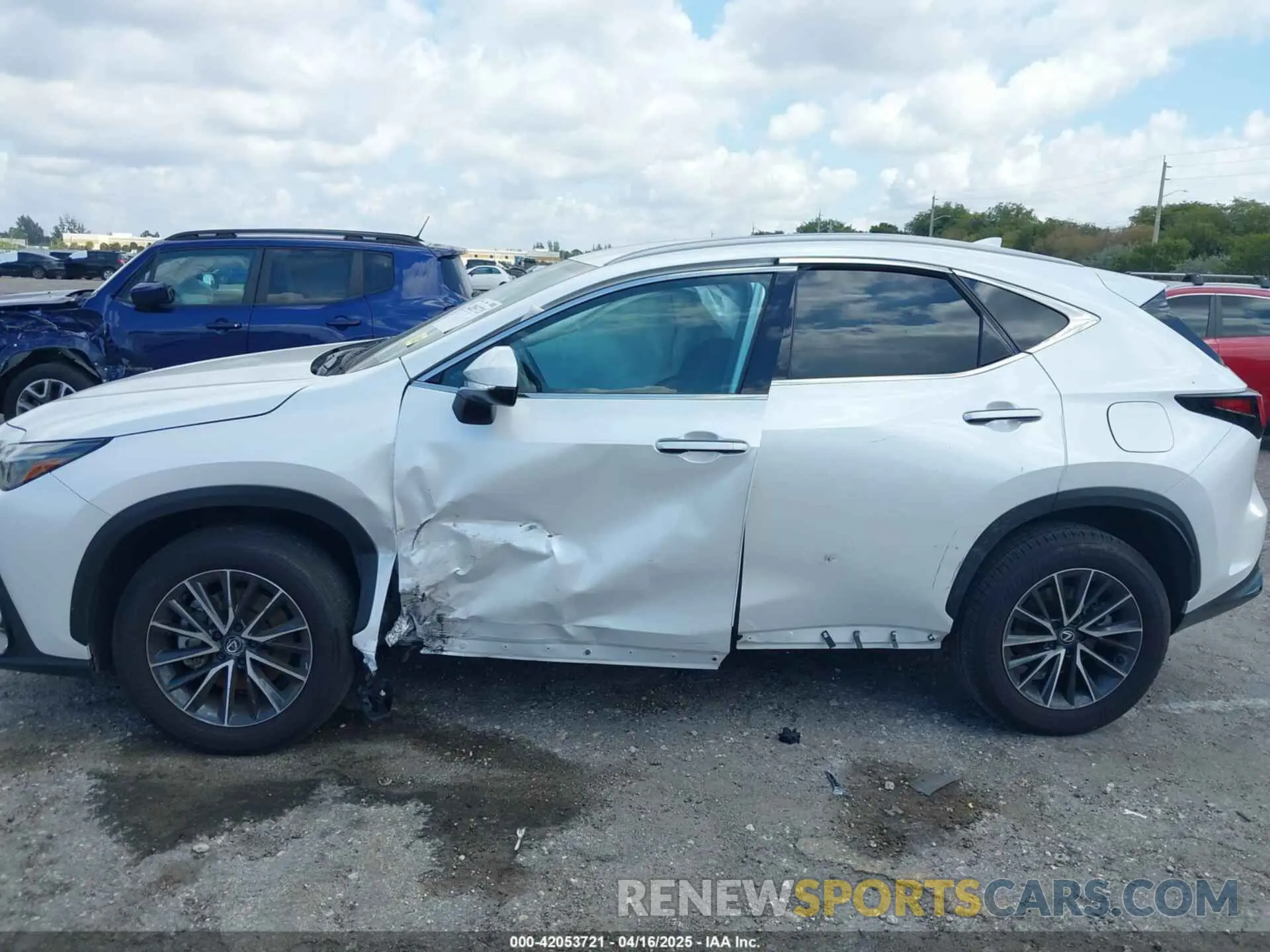 6 Photograph of a damaged car 2T2ADCAZ9RC015022 LEXUS NX 250 2024