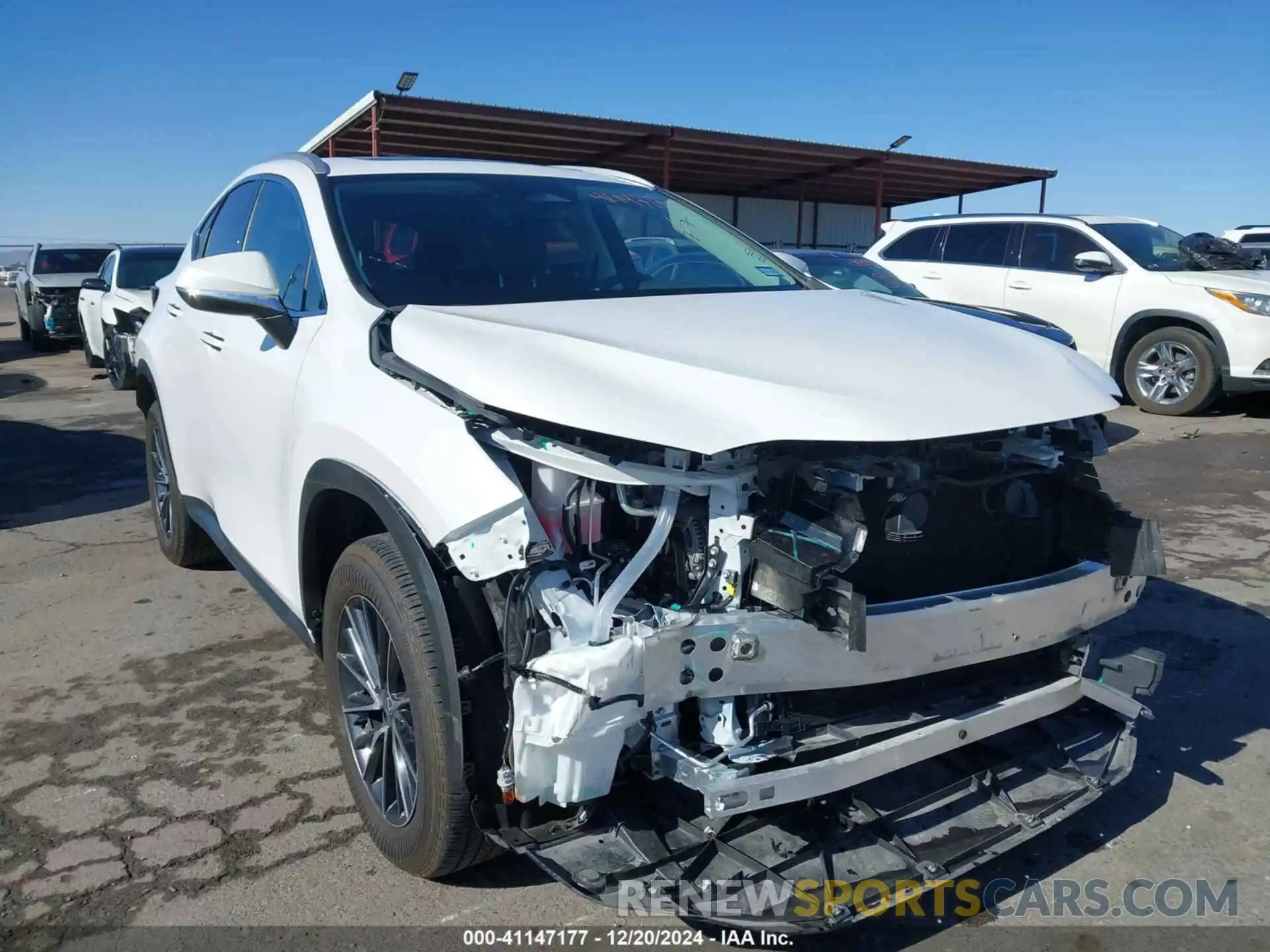 6 Photograph of a damaged car 2T2GDCAZ5RC014945 LEXUS NX 250 2024