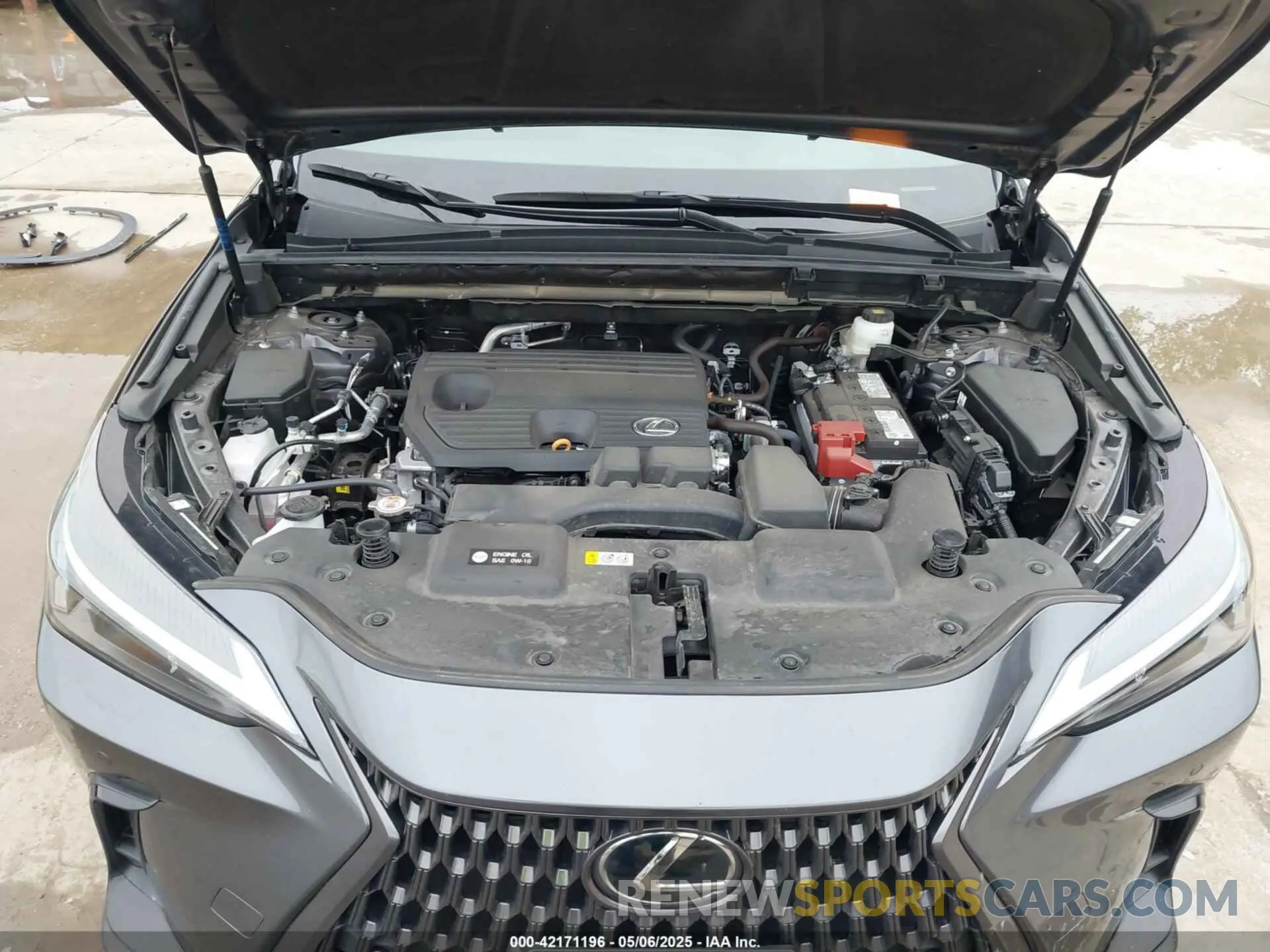 10 Photograph of a damaged car 2T2GDCAZ7RC015465 LEXUS NX 250 2024
