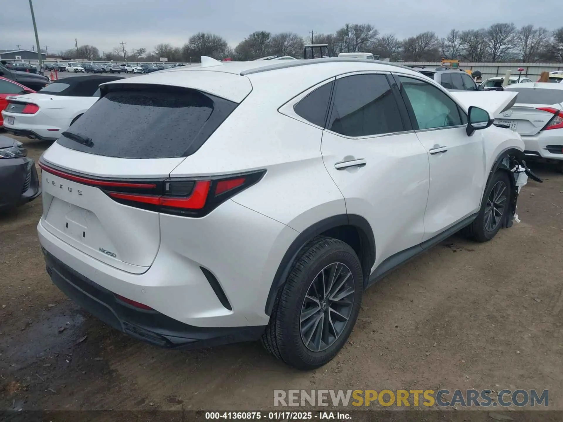4 Photograph of a damaged car 2T2GDCAZXRC015315 LEXUS NX 250 2024