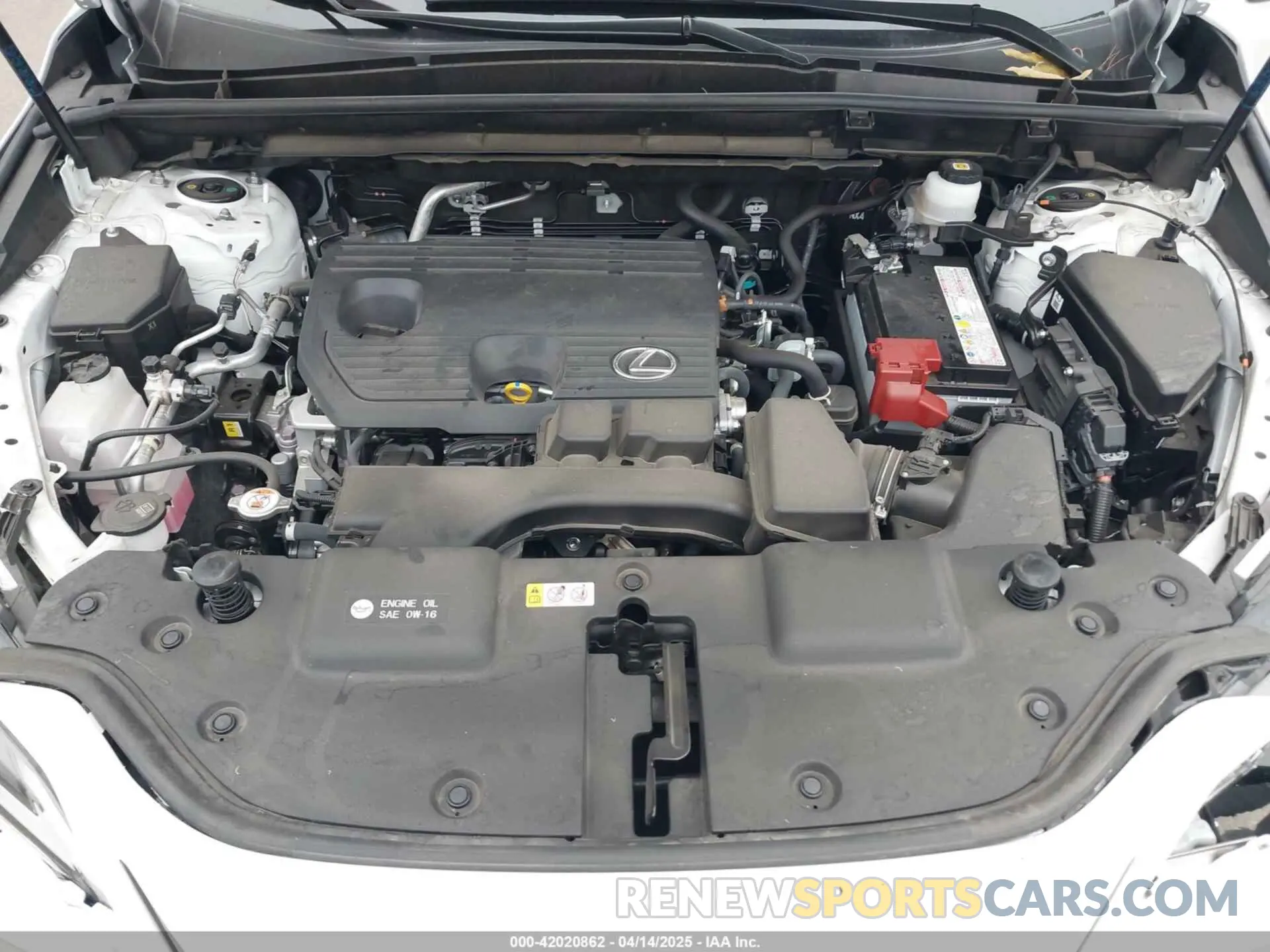 10 Photograph of a damaged car JTJGDCAZ2R5022080 LEXUS NX 250 2024