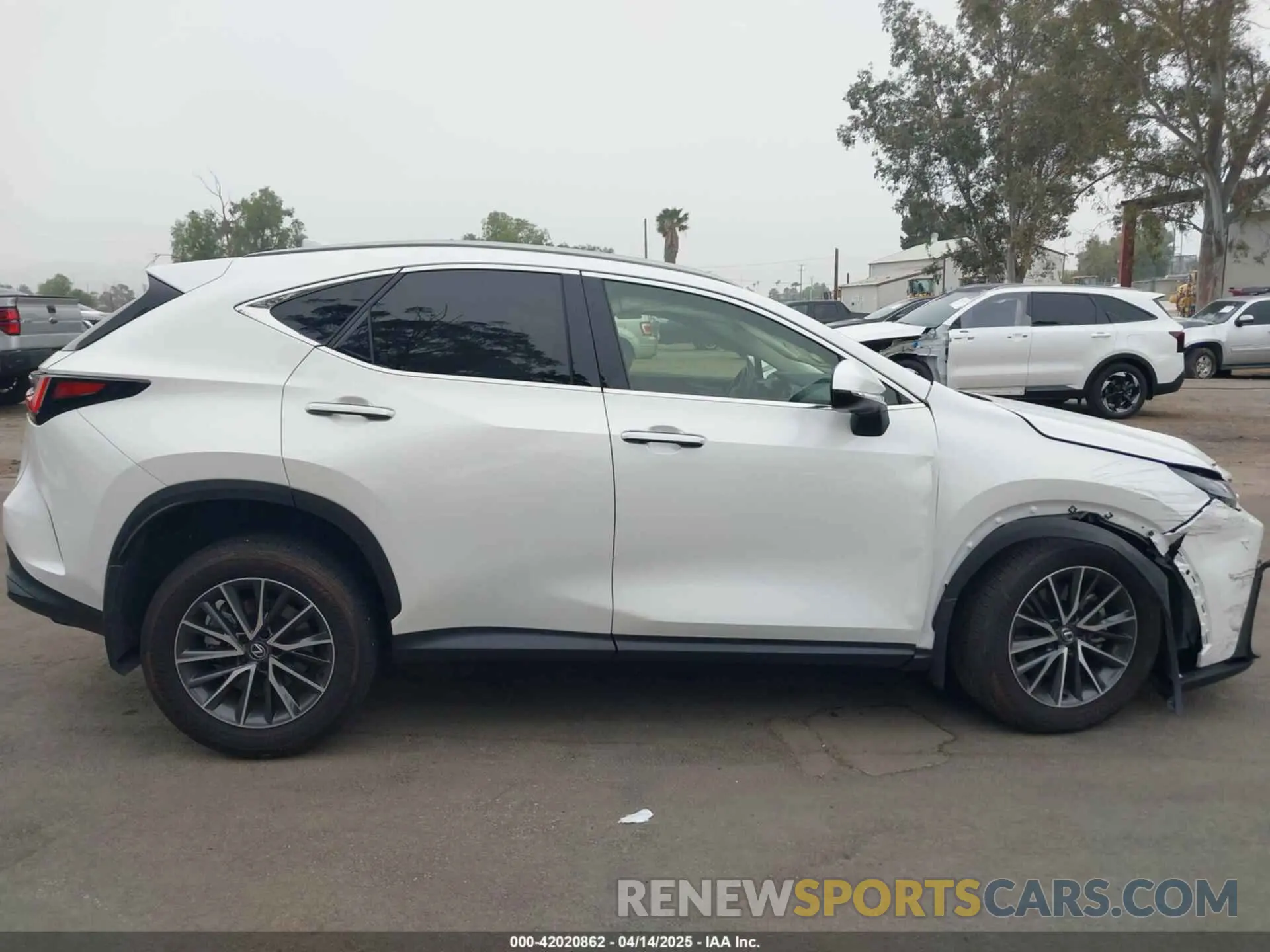 12 Photograph of a damaged car JTJGDCAZ2R5022080 LEXUS NX 250 2024