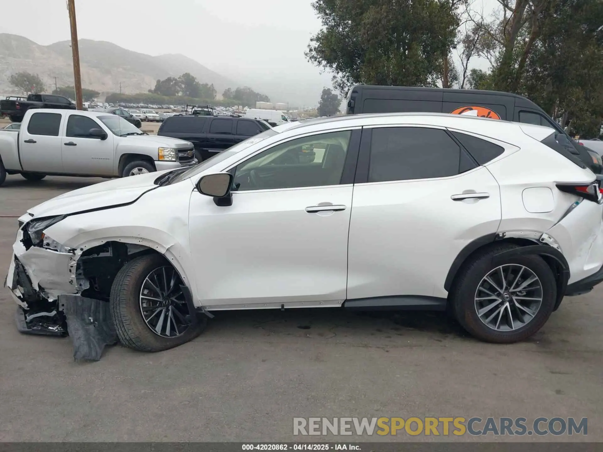 13 Photograph of a damaged car JTJGDCAZ2R5022080 LEXUS NX 250 2024