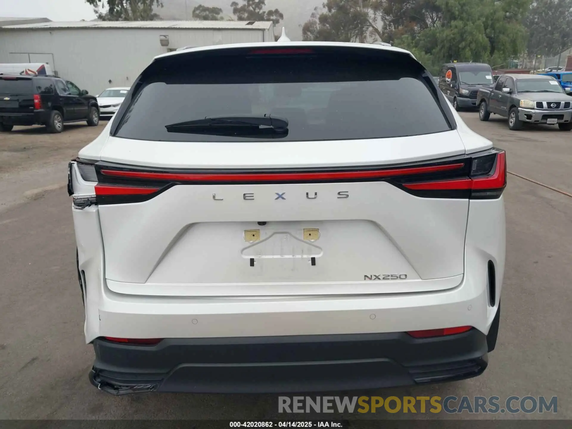 15 Photograph of a damaged car JTJGDCAZ2R5022080 LEXUS NX 250 2024