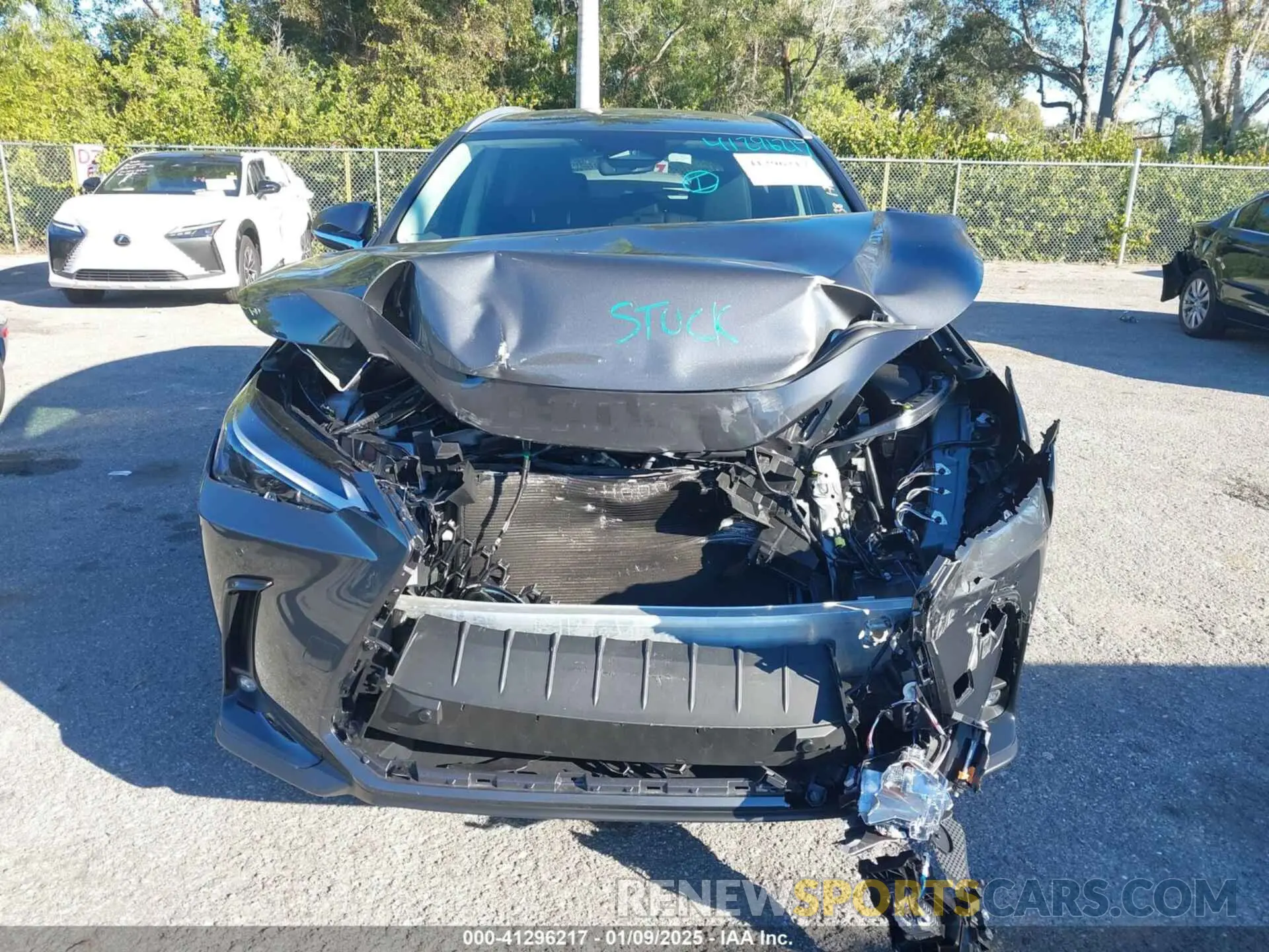 12 Photograph of a damaged car 2T2ADCAZ0SC020938 LEXUS NX 250 2025