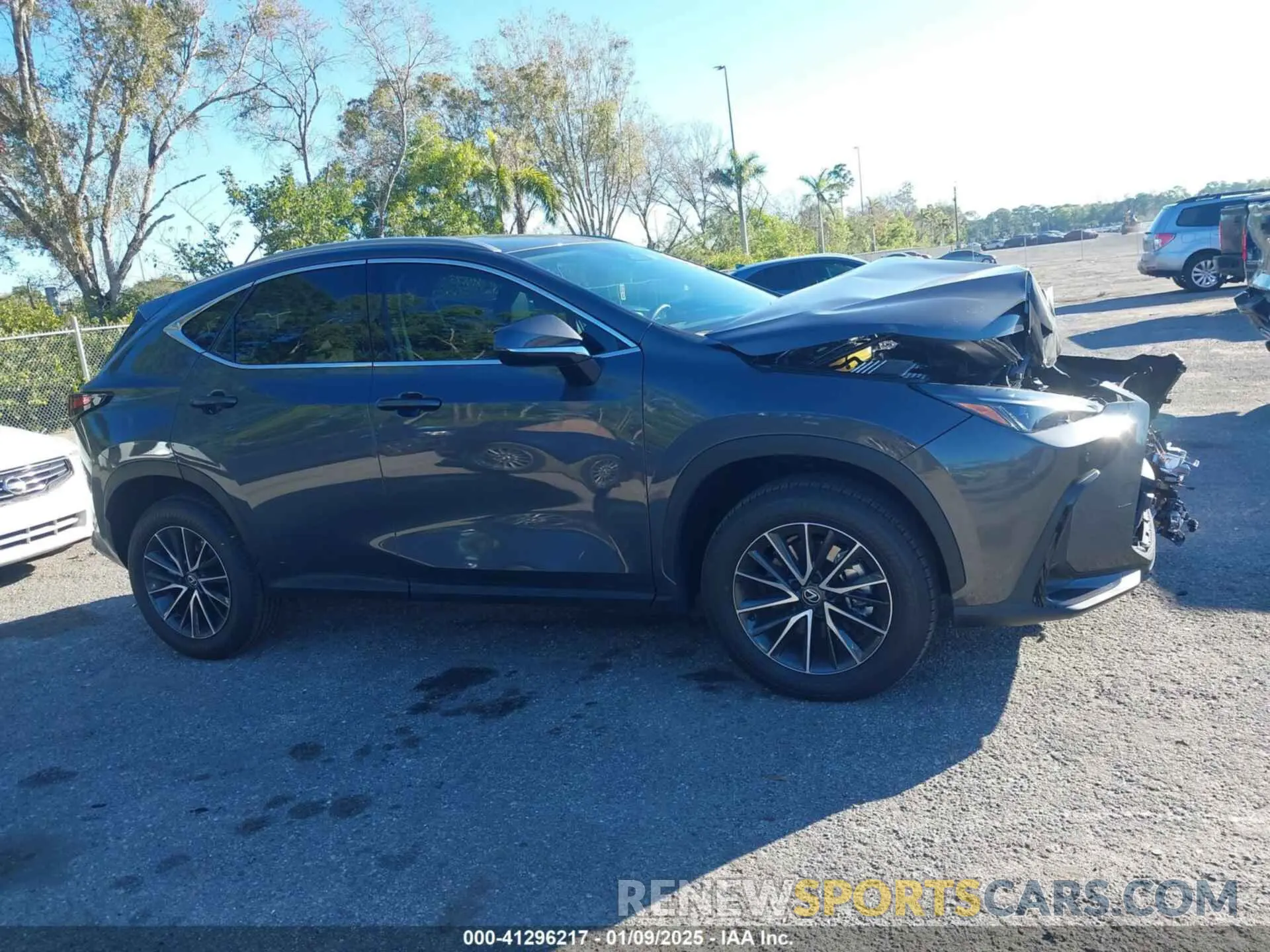 13 Photograph of a damaged car 2T2ADCAZ0SC020938 LEXUS NX 250 2025