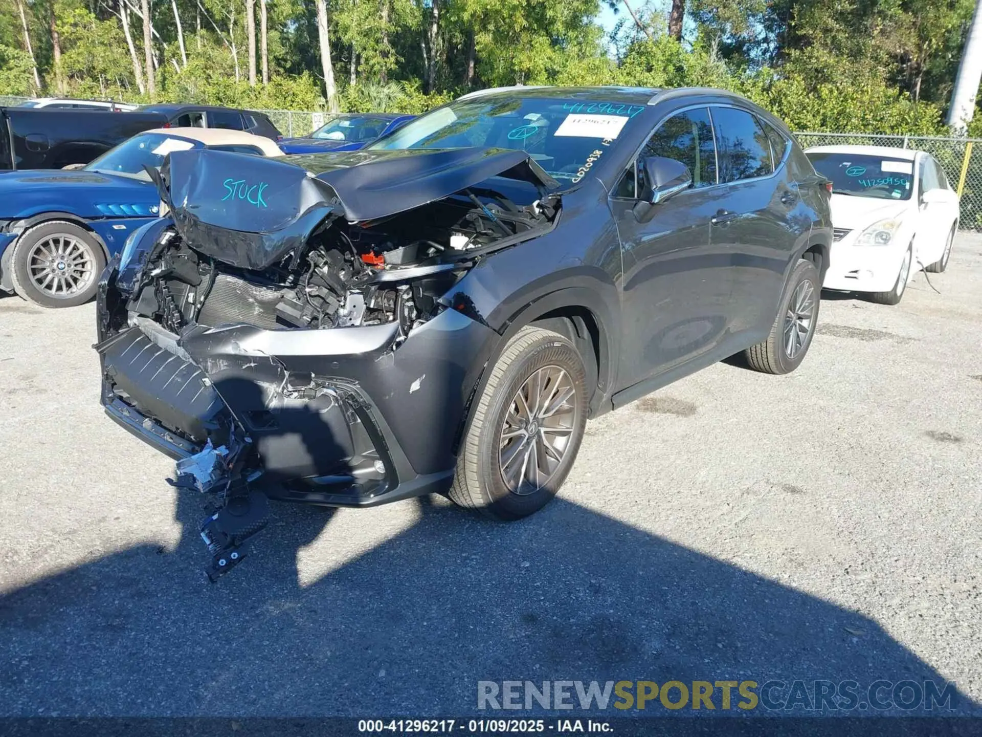 2 Photograph of a damaged car 2T2ADCAZ0SC020938 LEXUS NX 250 2025
