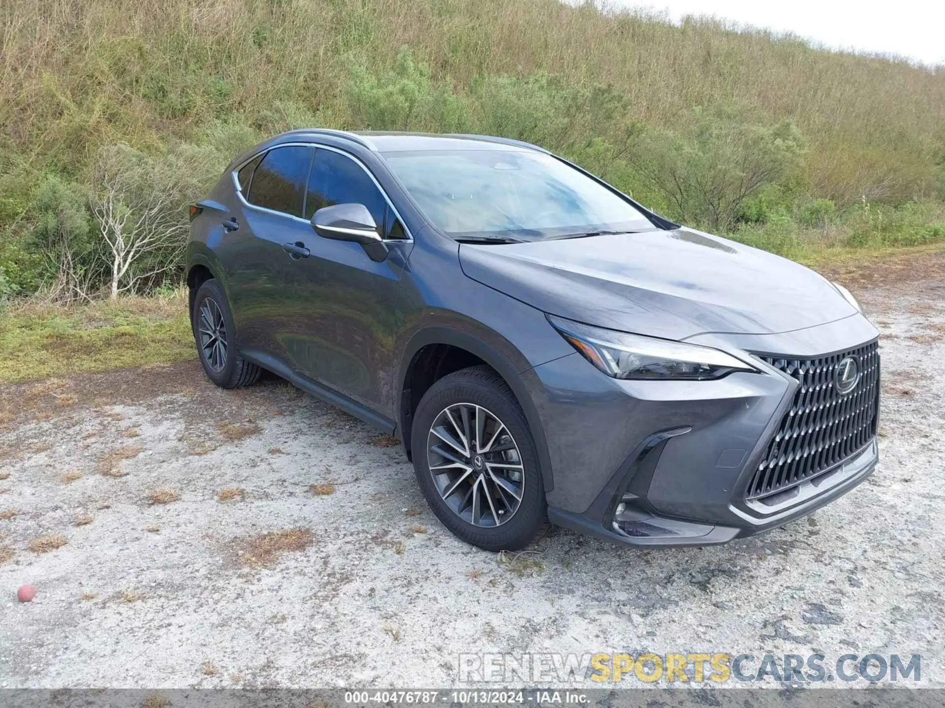 1 Photograph of a damaged car 2T2ADCAZ2SC018009 LEXUS NX 250 2025