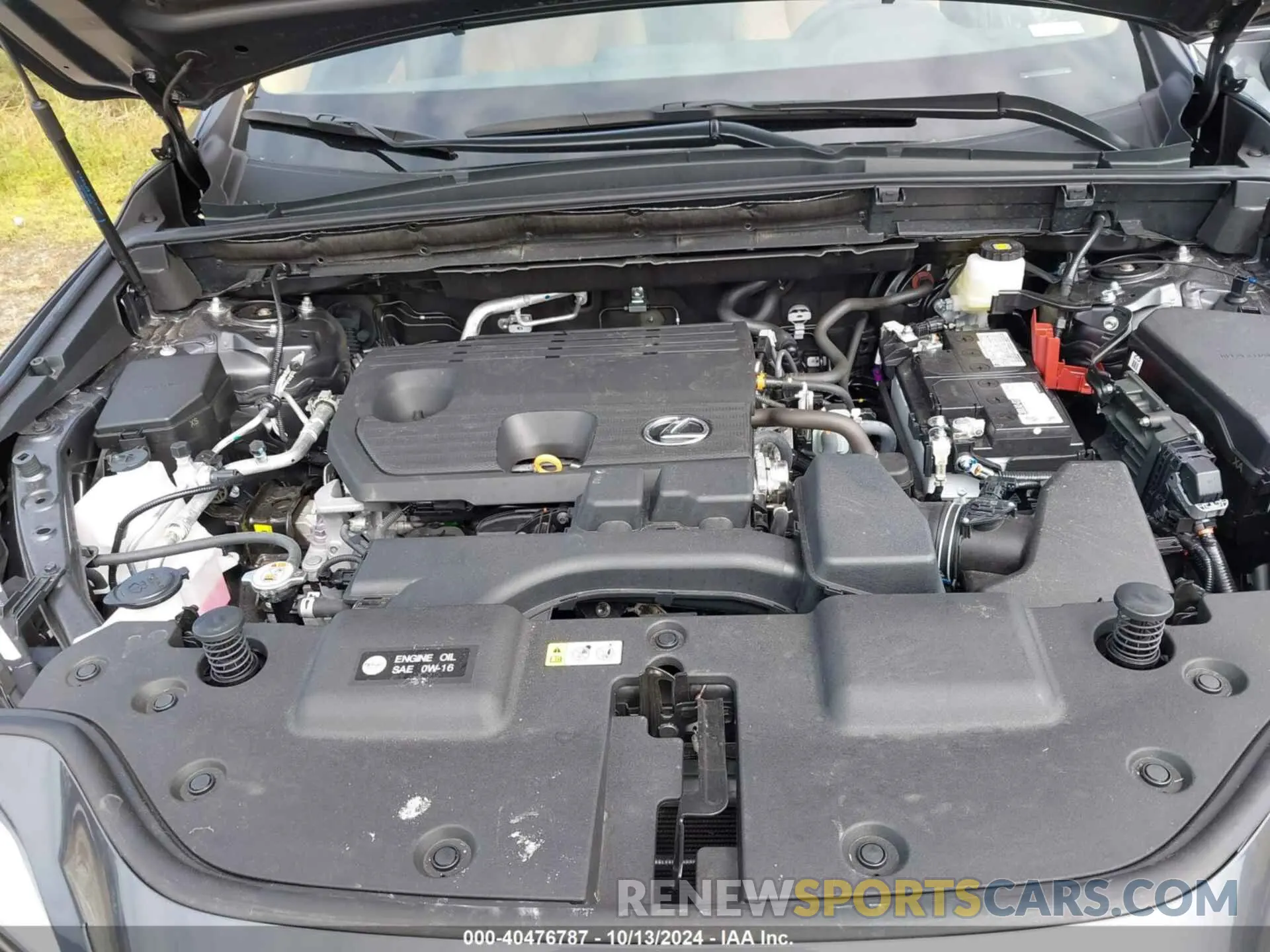 10 Photograph of a damaged car 2T2ADCAZ2SC018009 LEXUS NX 250 2025
