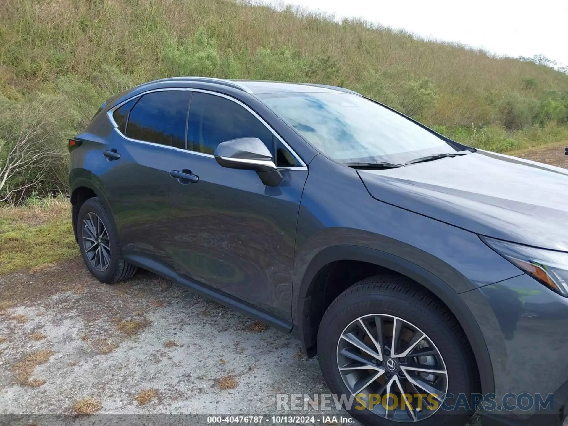 12 Photograph of a damaged car 2T2ADCAZ2SC018009 LEXUS NX 250 2025