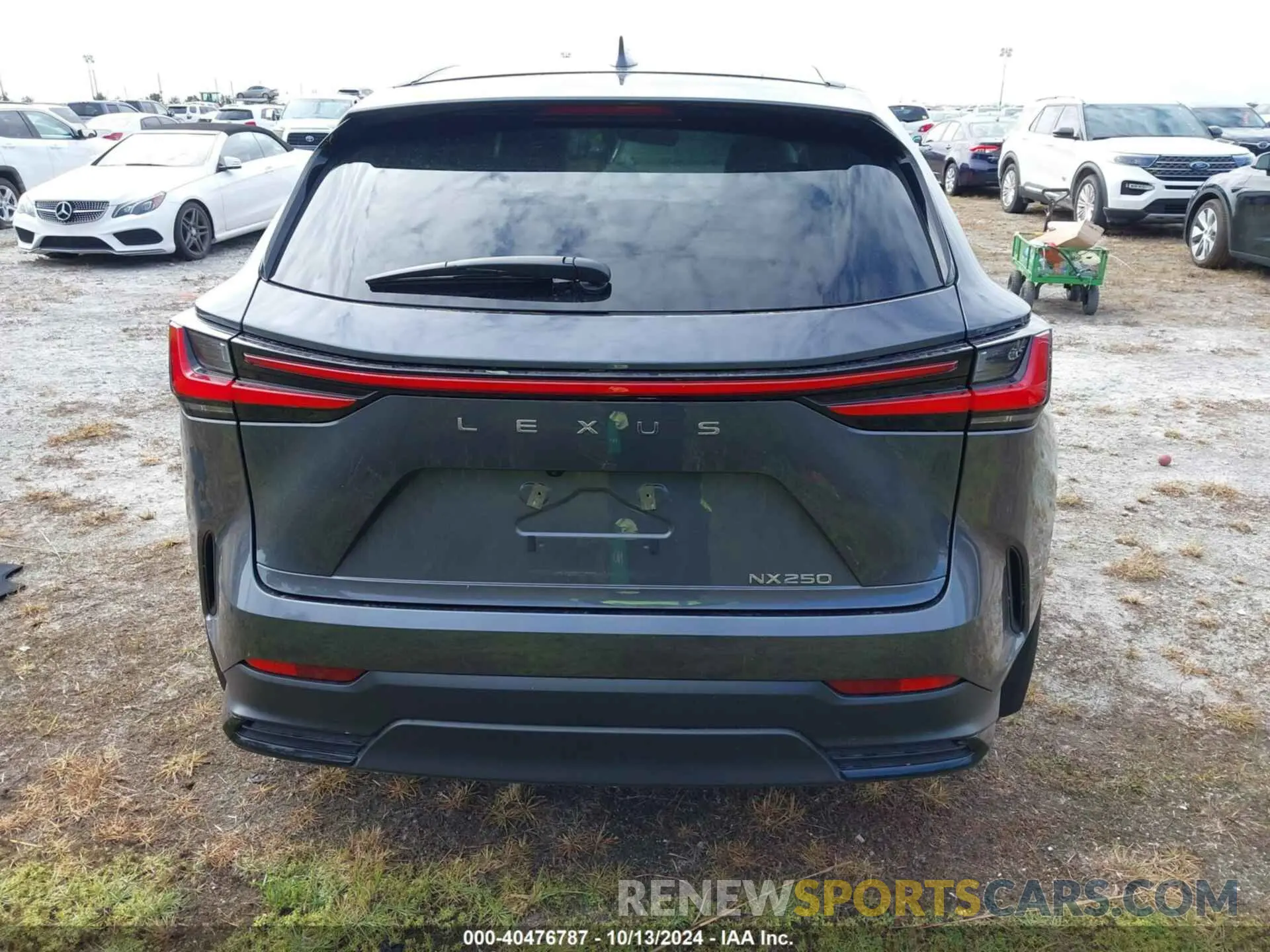 15 Photograph of a damaged car 2T2ADCAZ2SC018009 LEXUS NX 250 2025