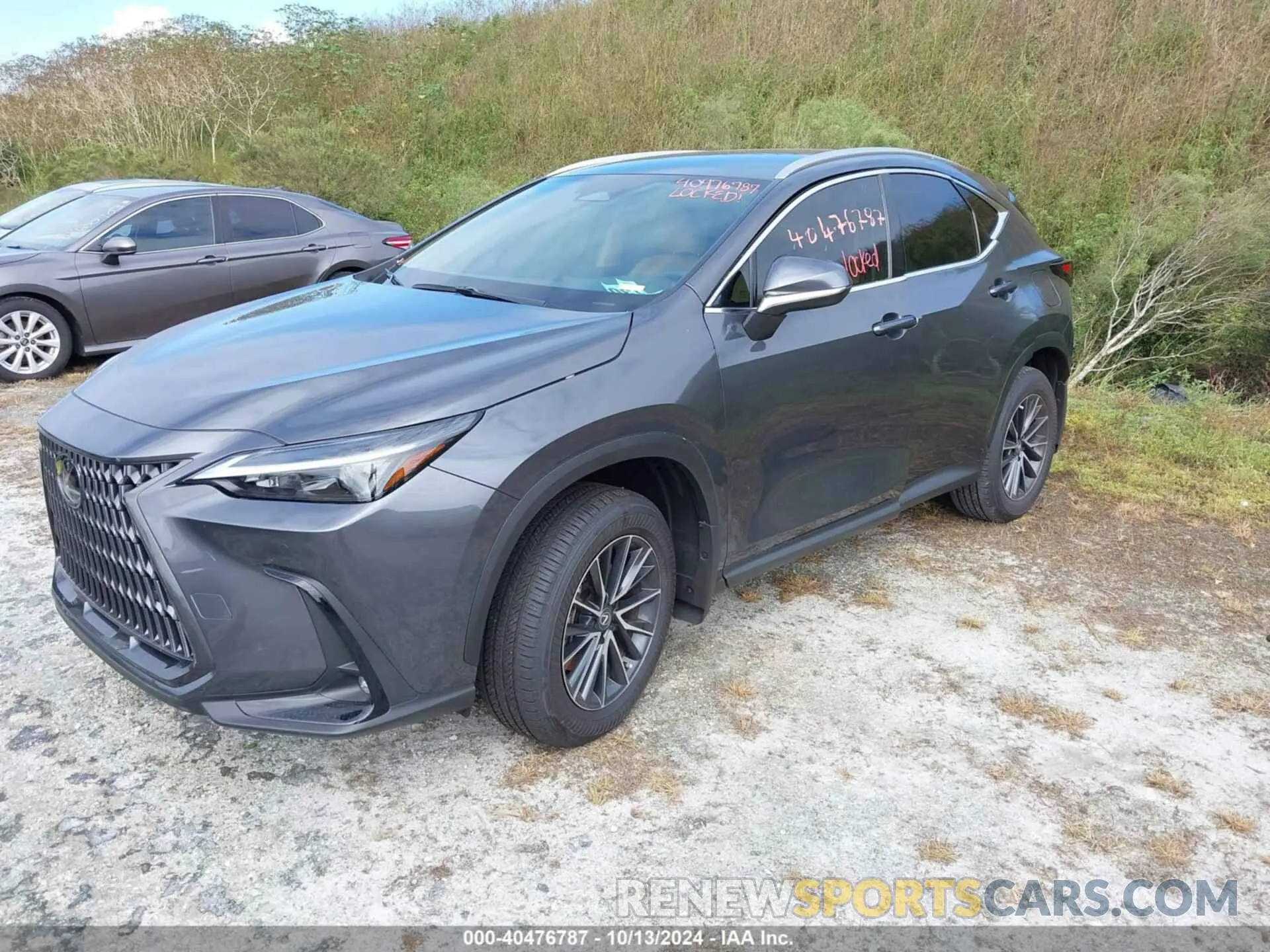 2 Photograph of a damaged car 2T2ADCAZ2SC018009 LEXUS NX 250 2025