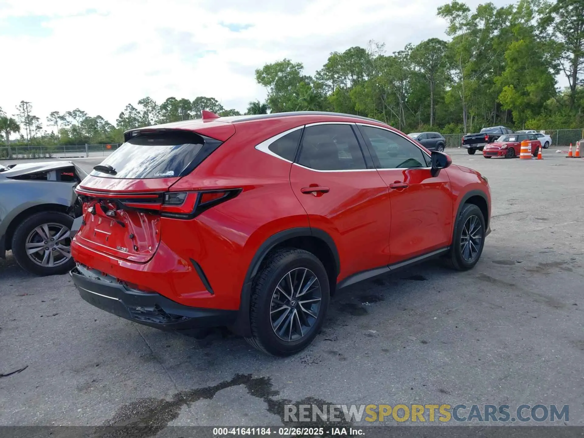 12 Photograph of a damaged car 2T2ADCAZ8SC018984 LEXUS NX 250 2025