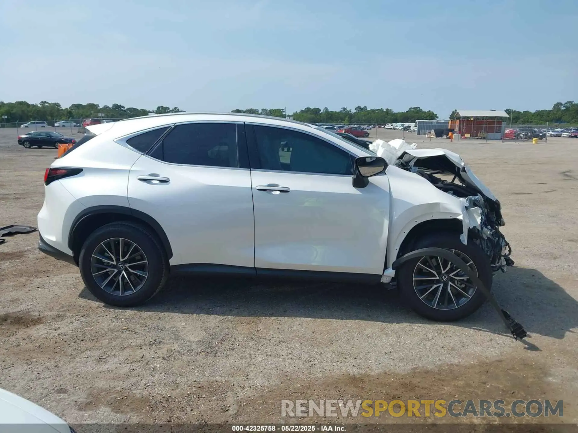 13 Photograph of a damaged car 2T2GDCAZ0SC017127 LEXUS NX 250 2025