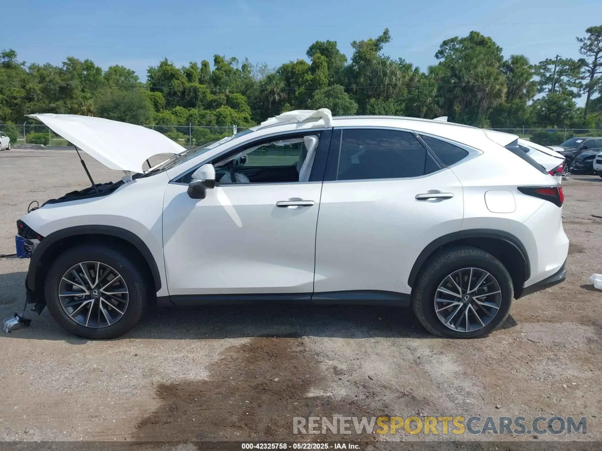 14 Photograph of a damaged car 2T2GDCAZ0SC017127 LEXUS NX 250 2025