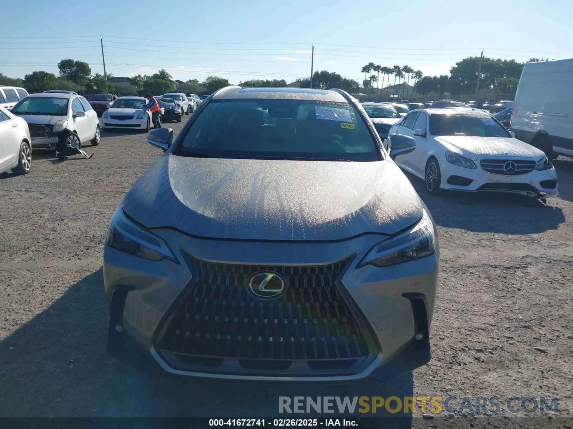 12 Photograph of a damaged car 2T2GDCAZ0SC017810 LEXUS NX 250 2025