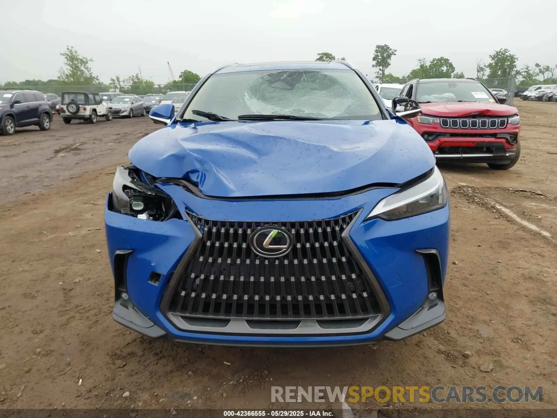 12 Photograph of a damaged car 2T2GDCEZXSC005495 LEXUS NX 250 2025