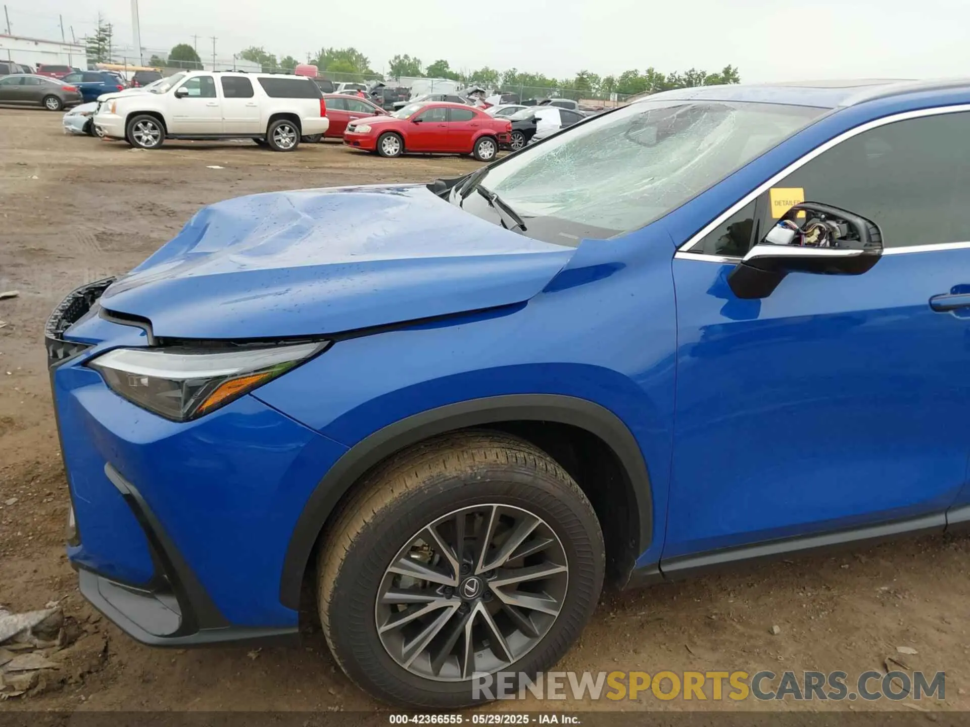 17 Photograph of a damaged car 2T2GDCEZXSC005495 LEXUS NX 250 2025