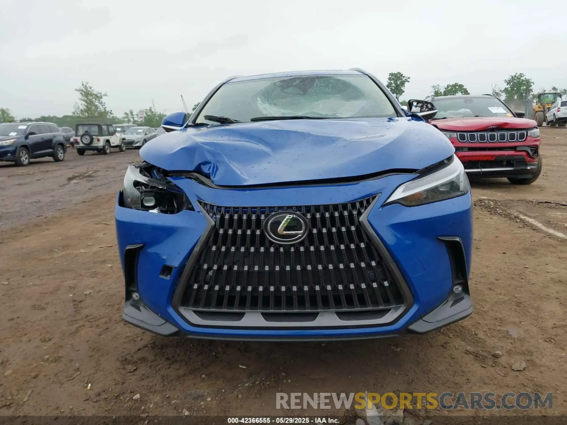 6 Photograph of a damaged car 2T2GDCEZXSC005495 LEXUS NX 250 2025
