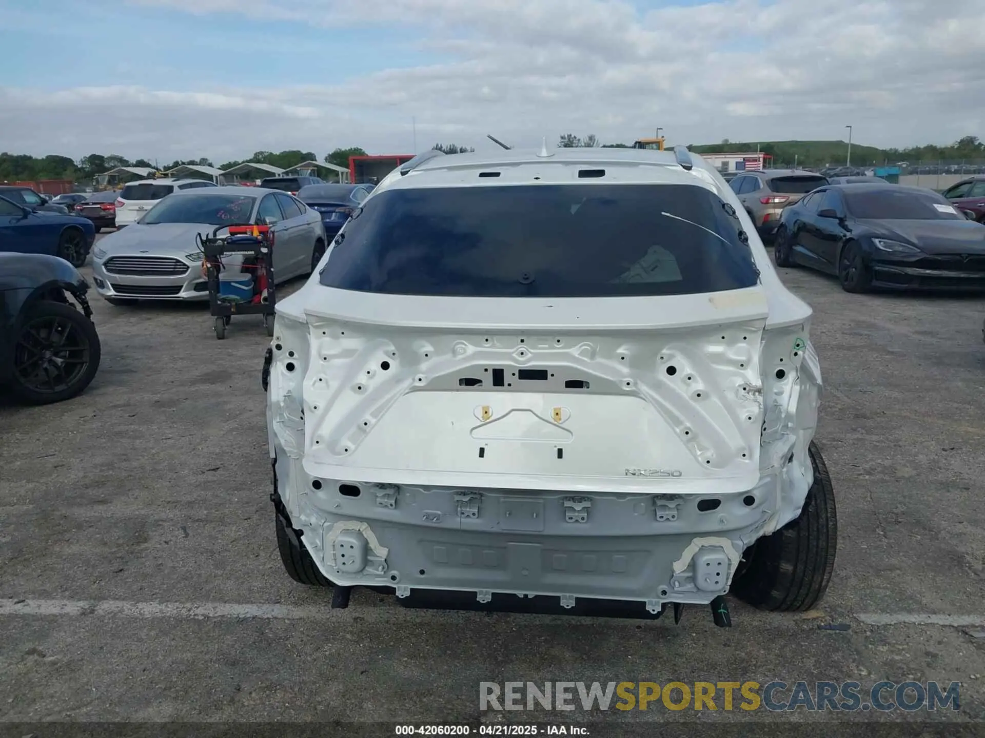18 Photograph of a damaged car JTJADCAZ1S2022956 LEXUS NX 250 2025