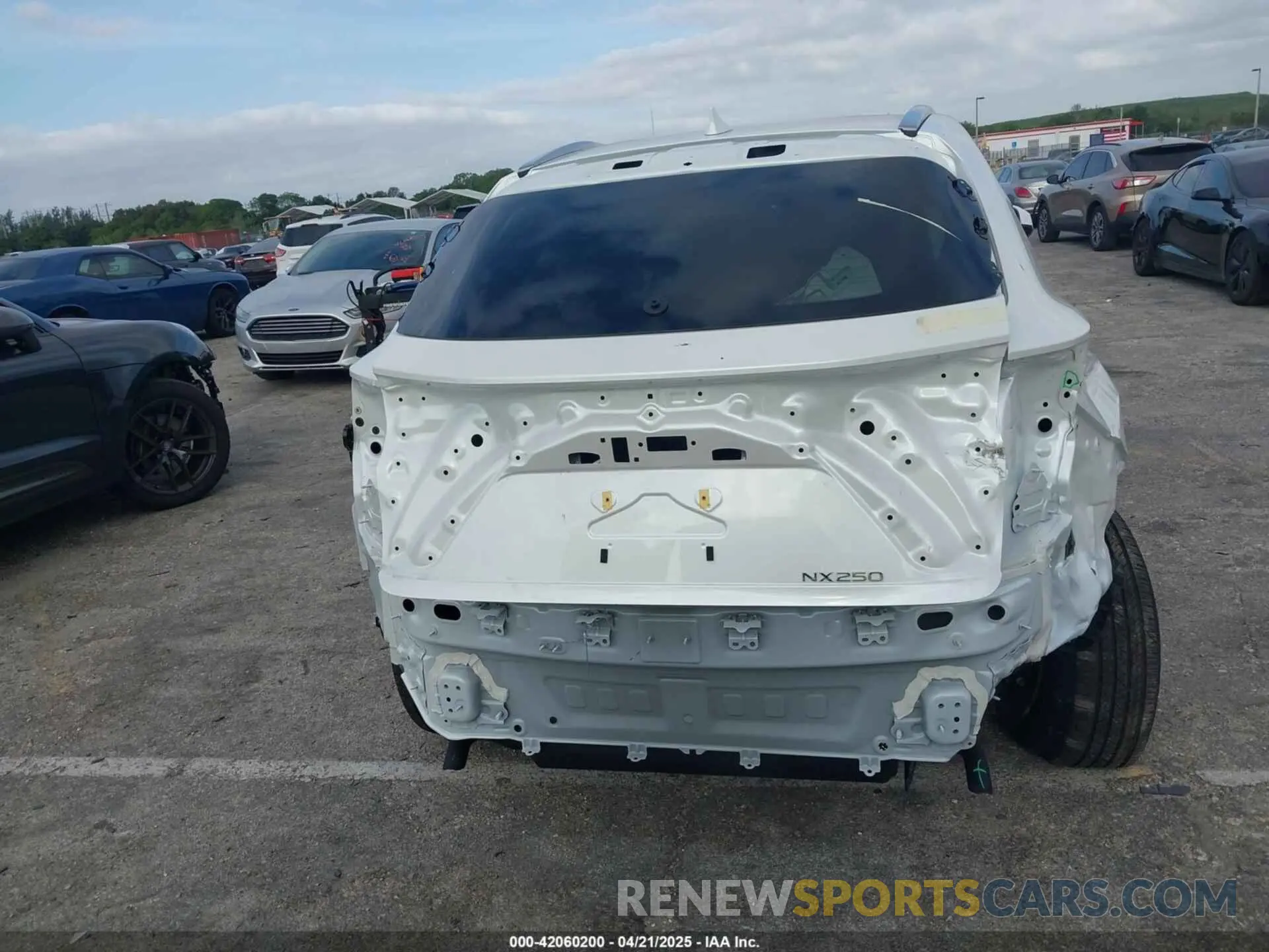 6 Photograph of a damaged car JTJADCAZ1S2022956 LEXUS NX 250 2025