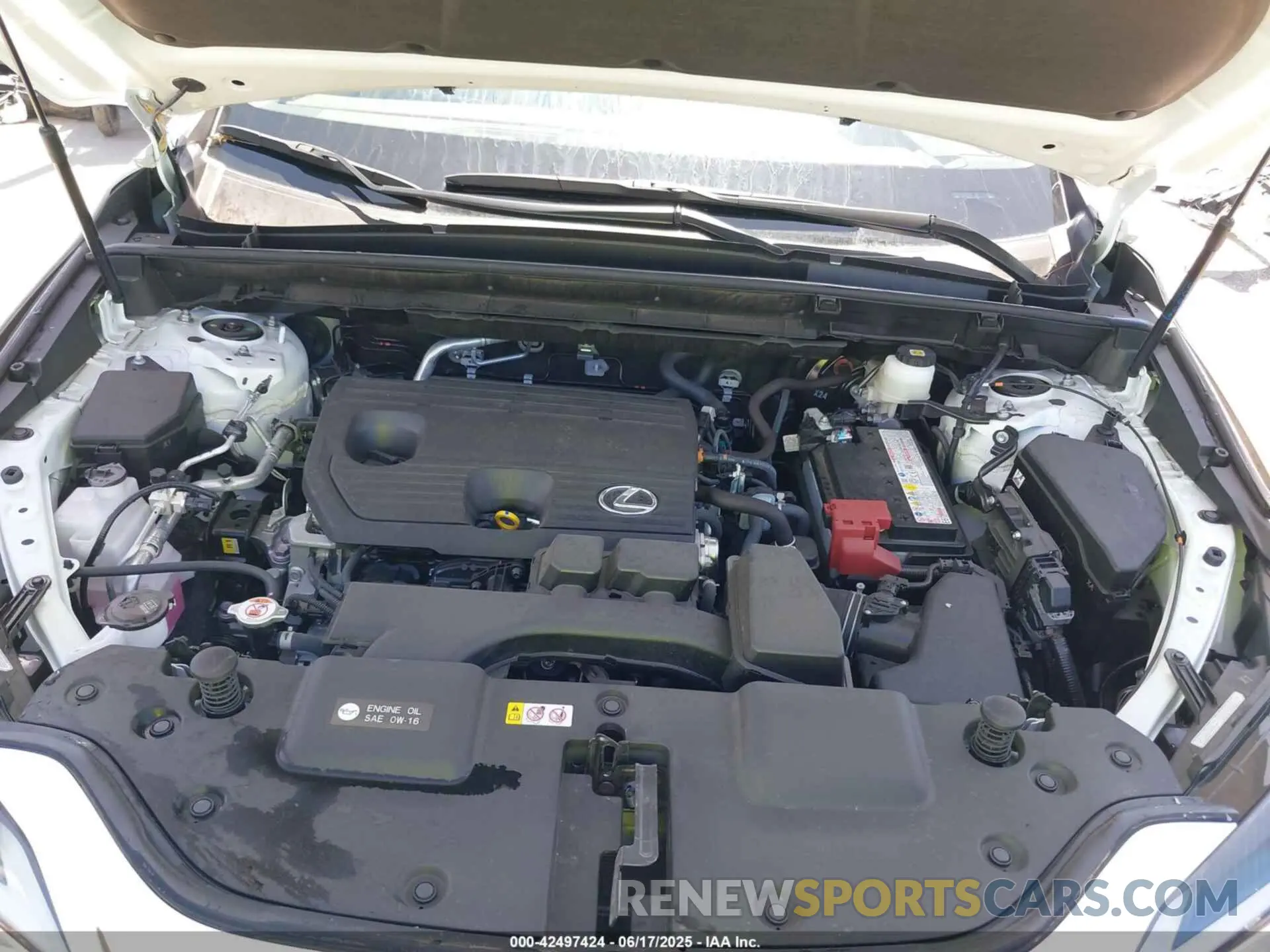 10 Photograph of a damaged car JTJGDCAZ5S2015616 LEXUS NX 250 2025