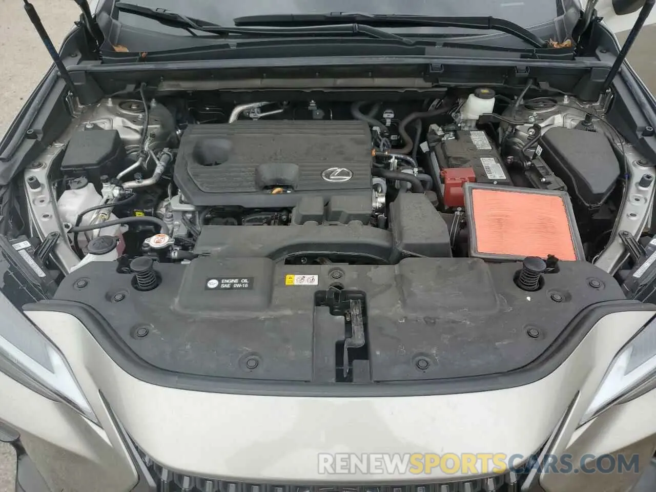 11 Photograph of a damaged car 2T2ADCAZ0RC007388 LEXUS NX 250 BAS 2024