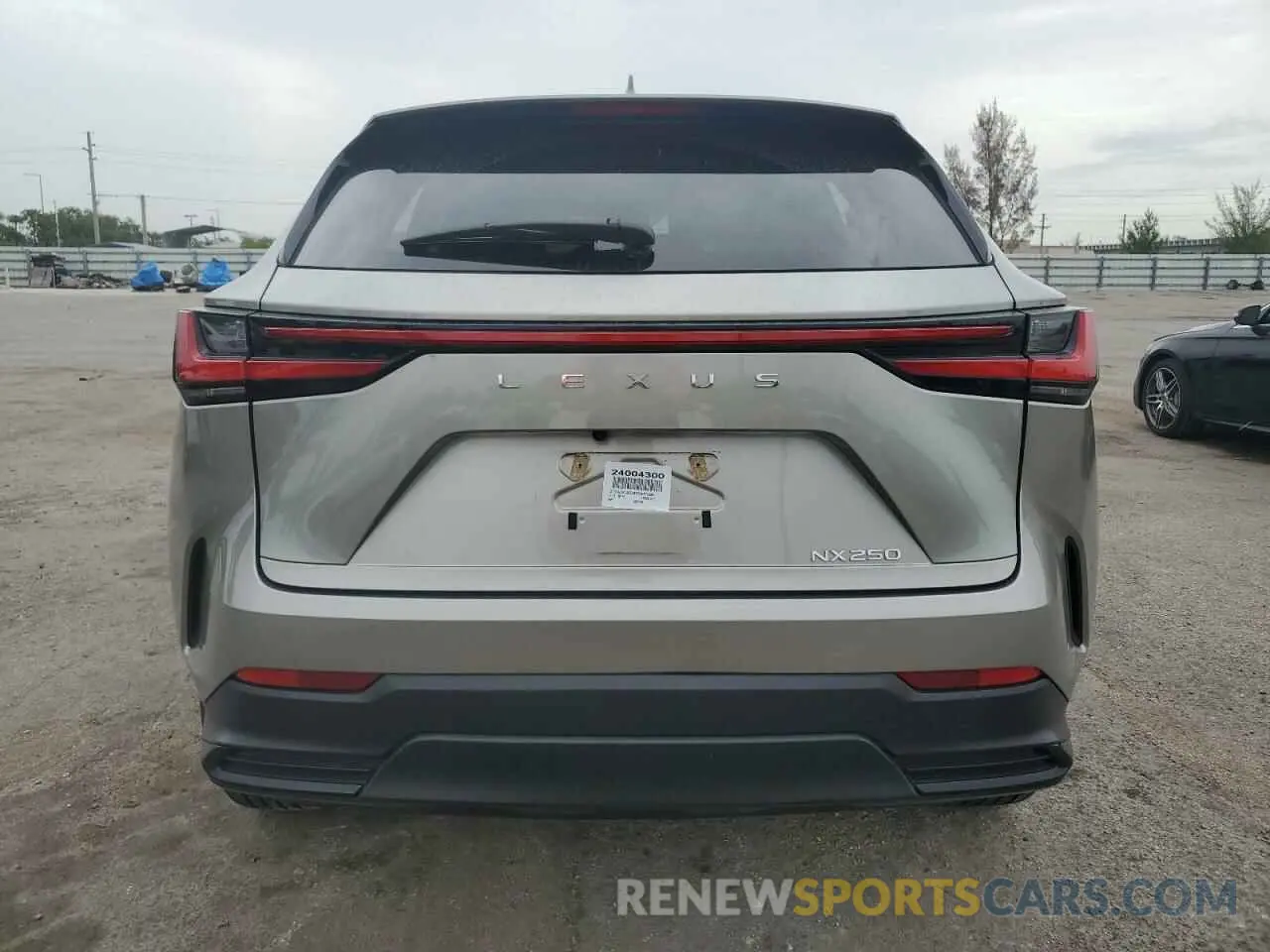 6 Photograph of a damaged car 2T2ADCAZ0RC007388 LEXUS NX 250 BAS 2024