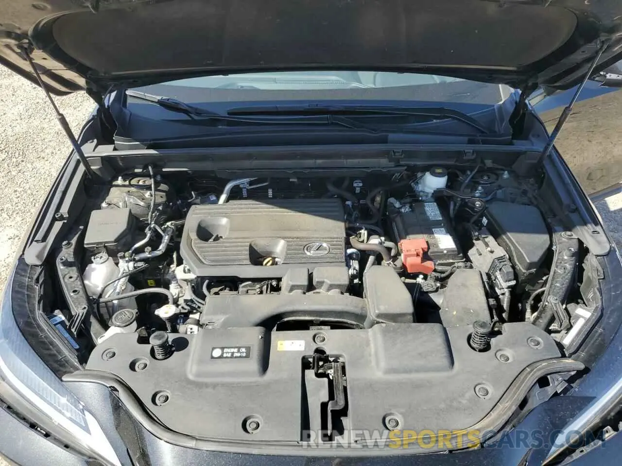 13 Photograph of a damaged car 2T2ADCAZ4RC009662 LEXUS NX 250 BAS 2024