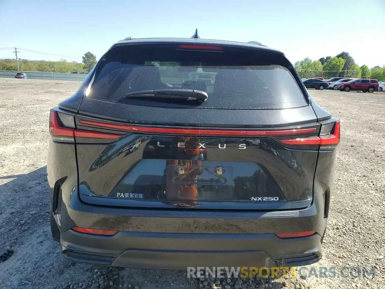 6 Photograph of a damaged car 2T2ADCAZ4RC009662 LEXUS NX 250 BAS 2024