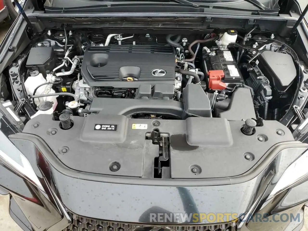 12 Photograph of a damaged car 2T2ADCAZ4RC010732 LEXUS NX 250 BAS 2024