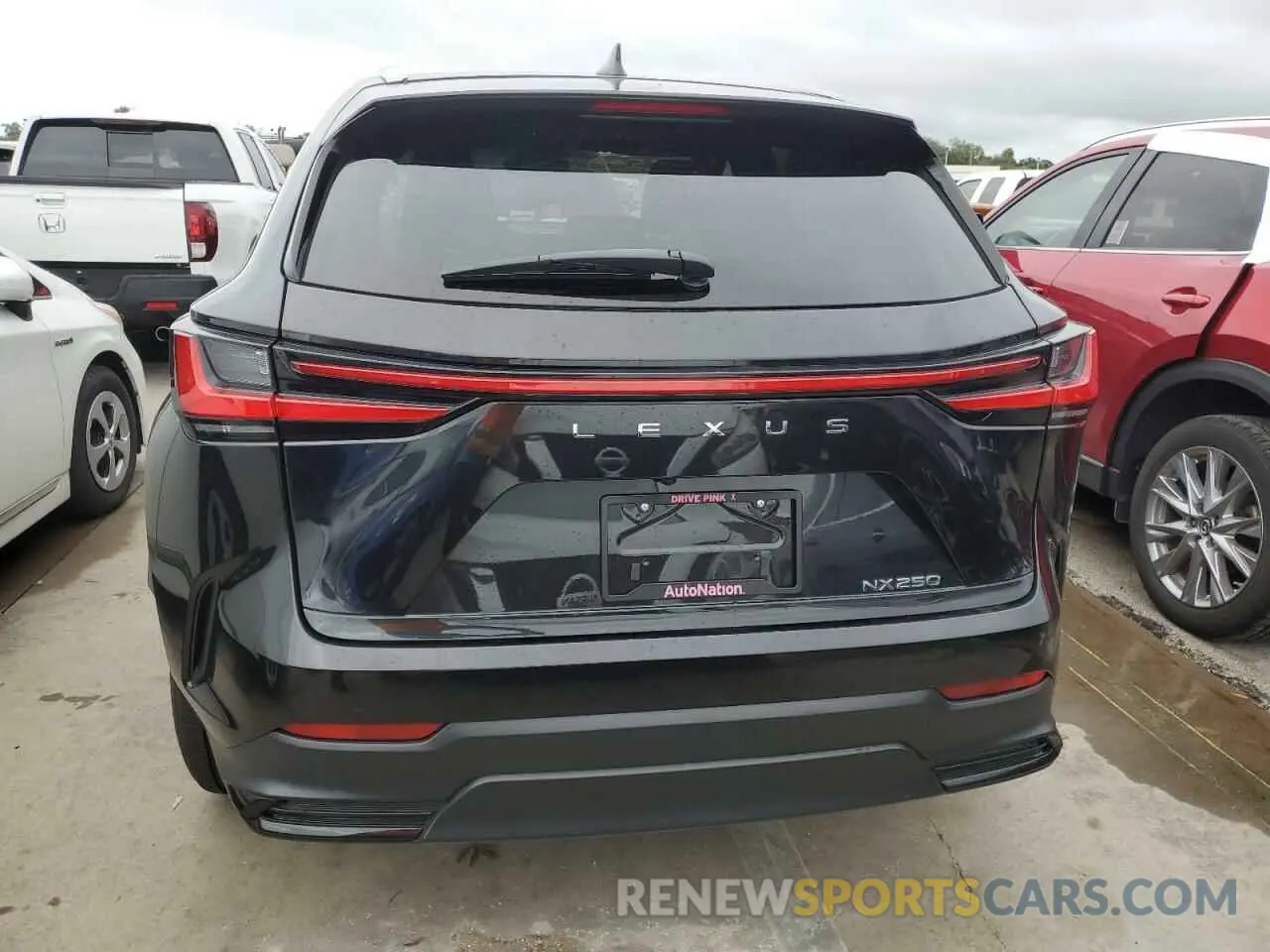 6 Photograph of a damaged car 2T2ADCAZ4RC010732 LEXUS NX 250 BAS 2024
