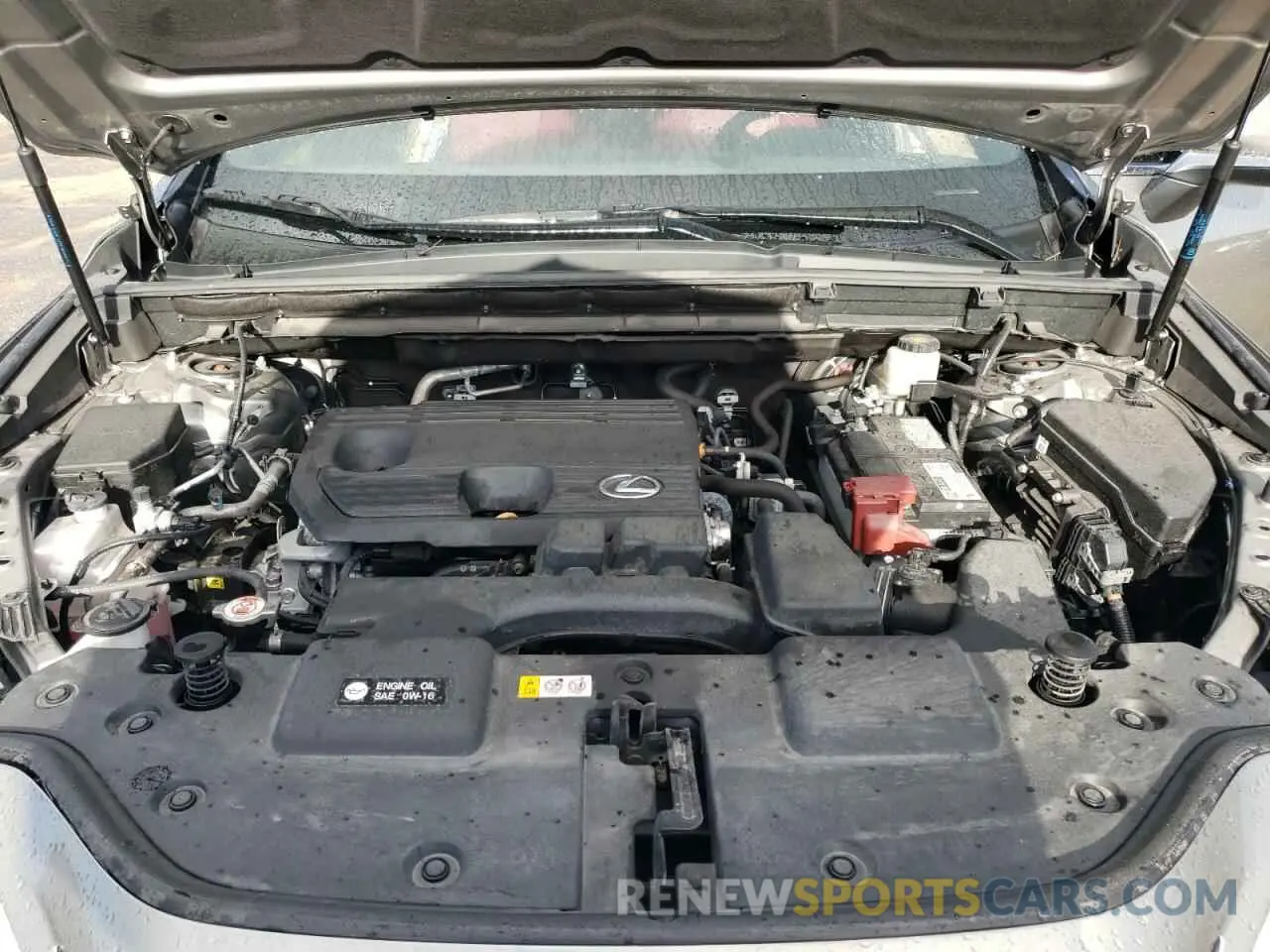 12 Photograph of a damaged car 2T2ADCAZ6RC007136 LEXUS NX 250 BAS 2024