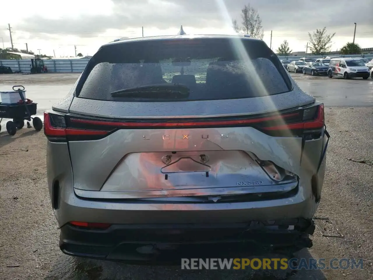 6 Photograph of a damaged car 2T2ADCAZ6RC007136 LEXUS NX 250 BAS 2024