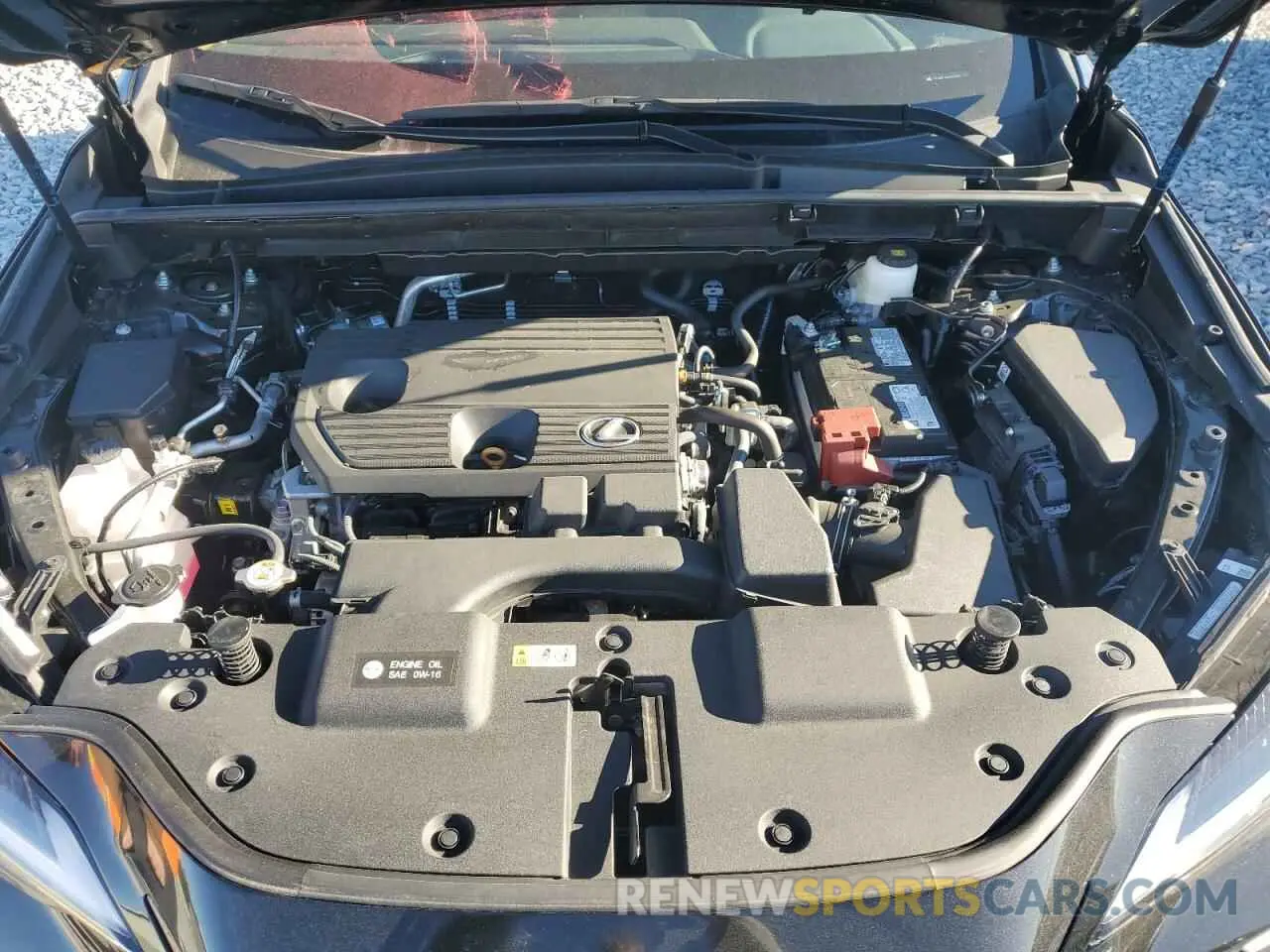 12 Photograph of a damaged car 2T2ADCAZ0SC017635 LEXUS NX 250 BAS 2025