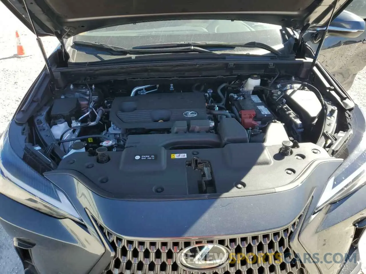 12 Photograph of a damaged car 2T2ADCAZ7SC023643 LEXUS NX 250 BAS 2025
