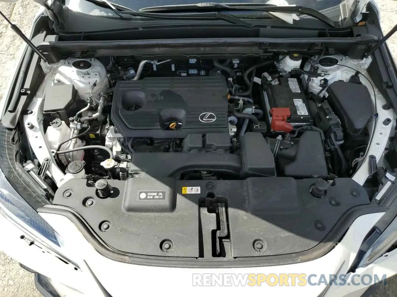 12 Photograph of a damaged car 2T2GDCAZ0RC010043 LEXUS NX 250 PRE 2024
