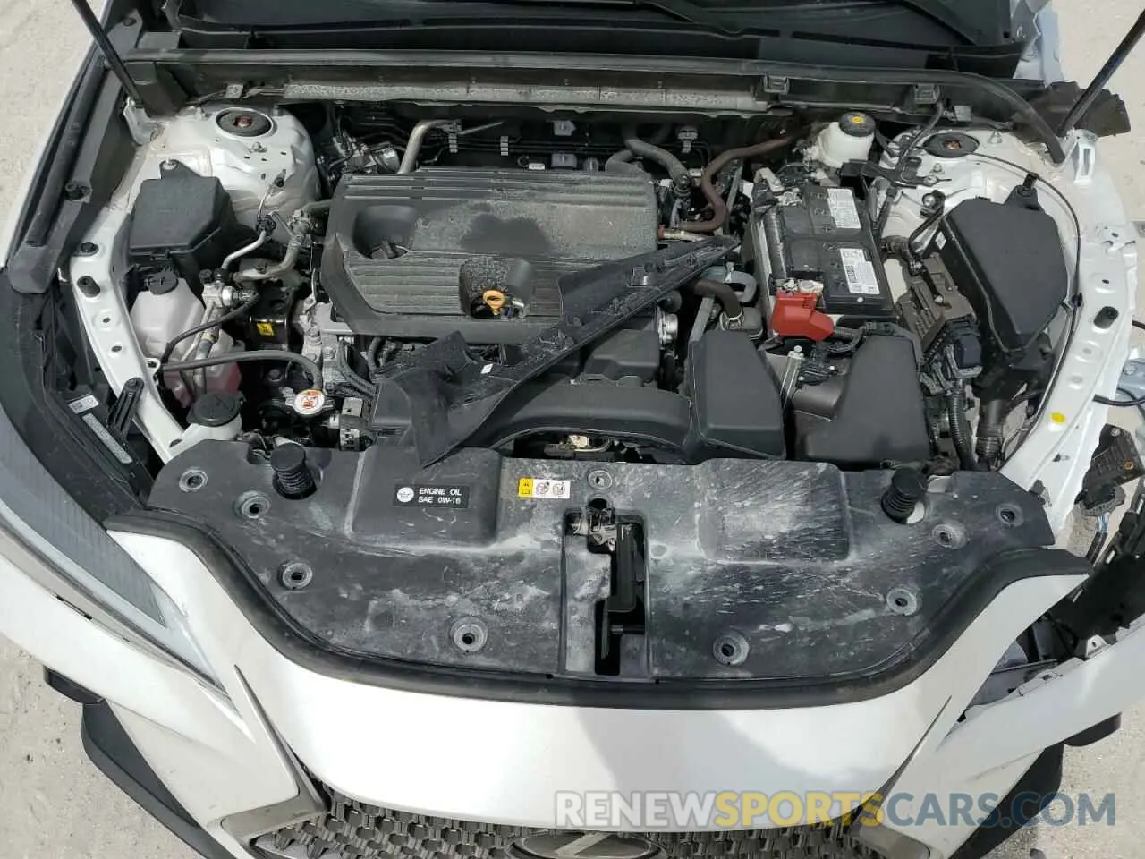 12 Photograph of a damaged car 2T2GDCAZ2RC006253 LEXUS NX 250 PRE 2024