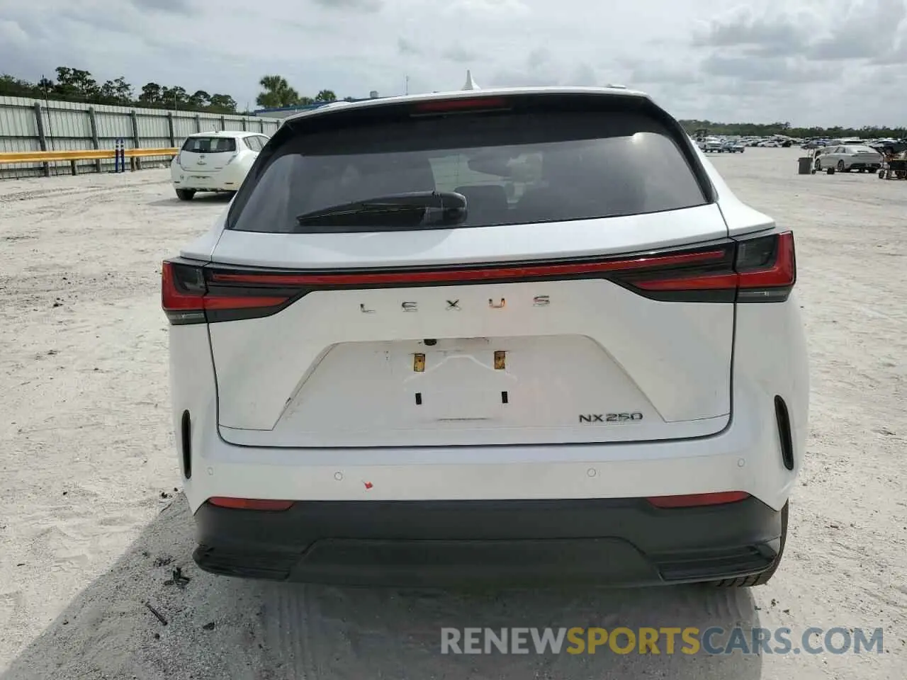 6 Photograph of a damaged car 2T2GDCAZ2RC006253 LEXUS NX 250 PRE 2024