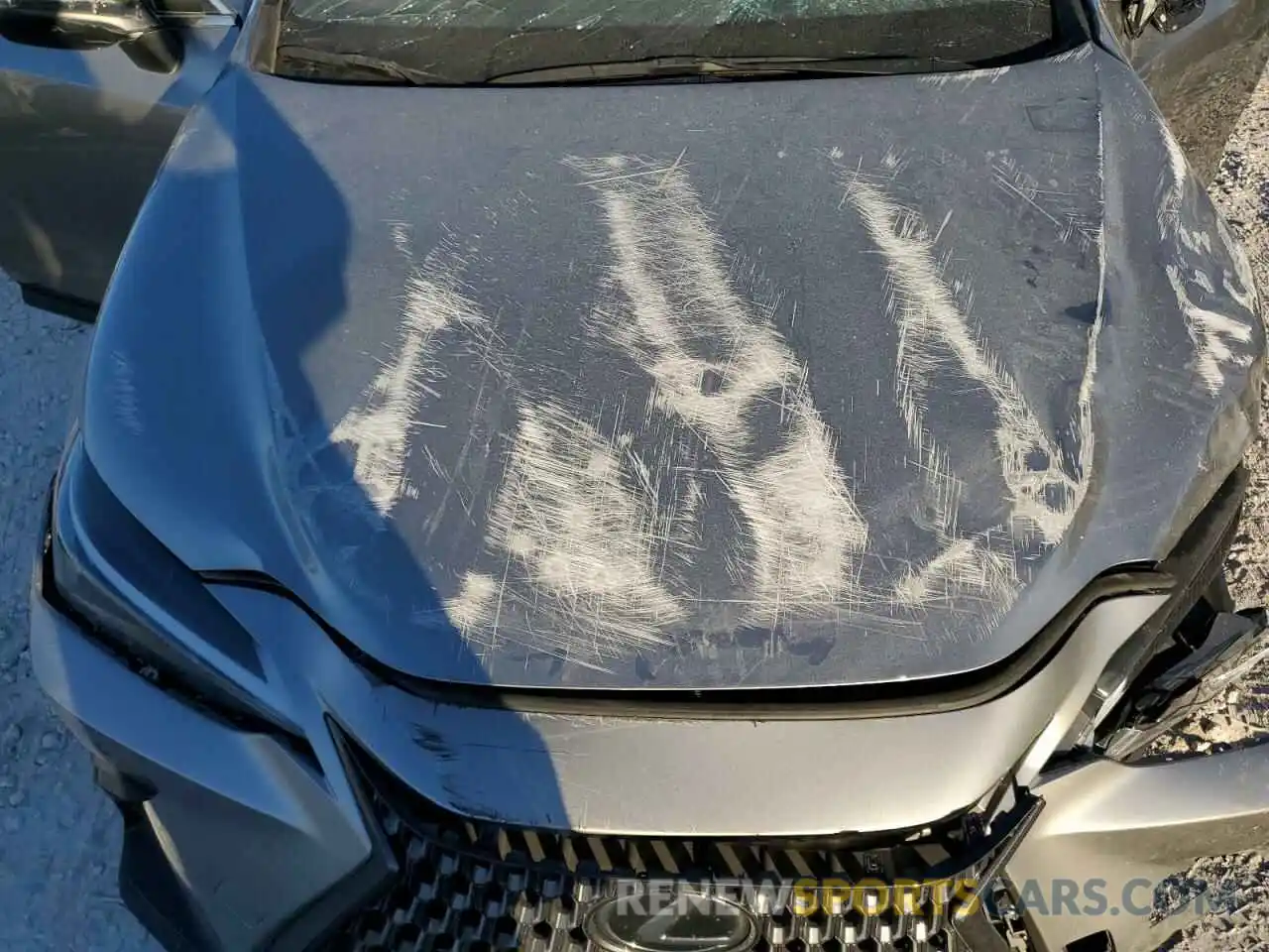 12 Photograph of a damaged car 2T2GDCAZ6RC009155 LEXUS NX 250 PRE 2024