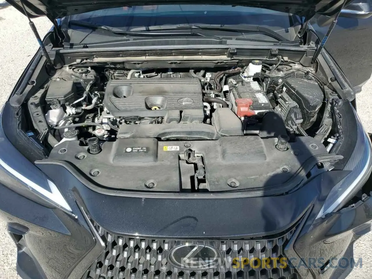 12 Photograph of a damaged car 2T2GDCAZ6RC009866 LEXUS NX 250 PRE 2024