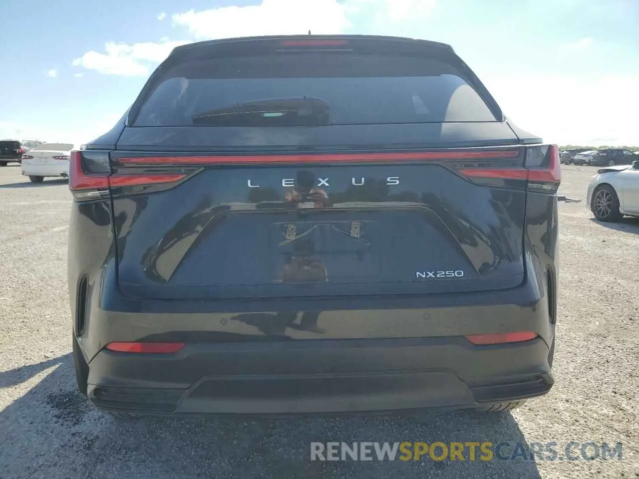 6 Photograph of a damaged car 2T2GDCAZ6RC009866 LEXUS NX 250 PRE 2024