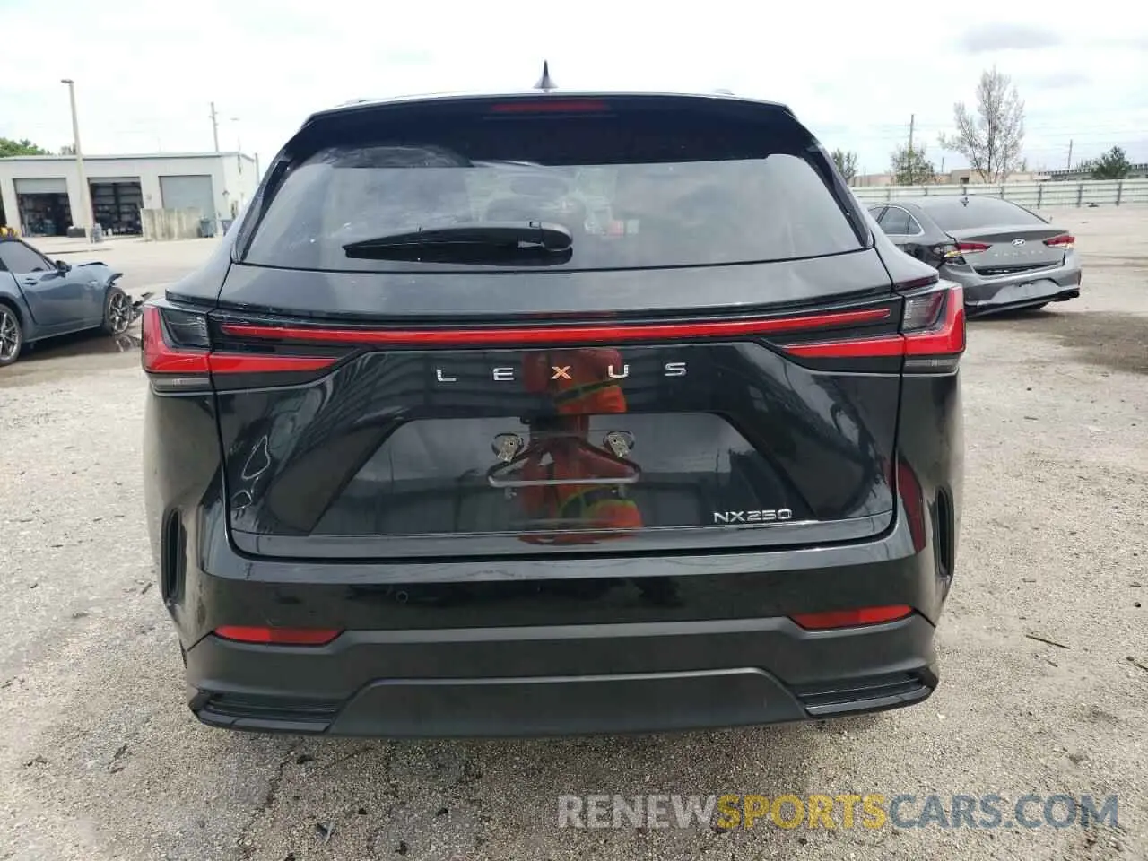 6 Photograph of a damaged car 2T2GDCAZ8RC011666 LEXUS NX 250 PRE 2024