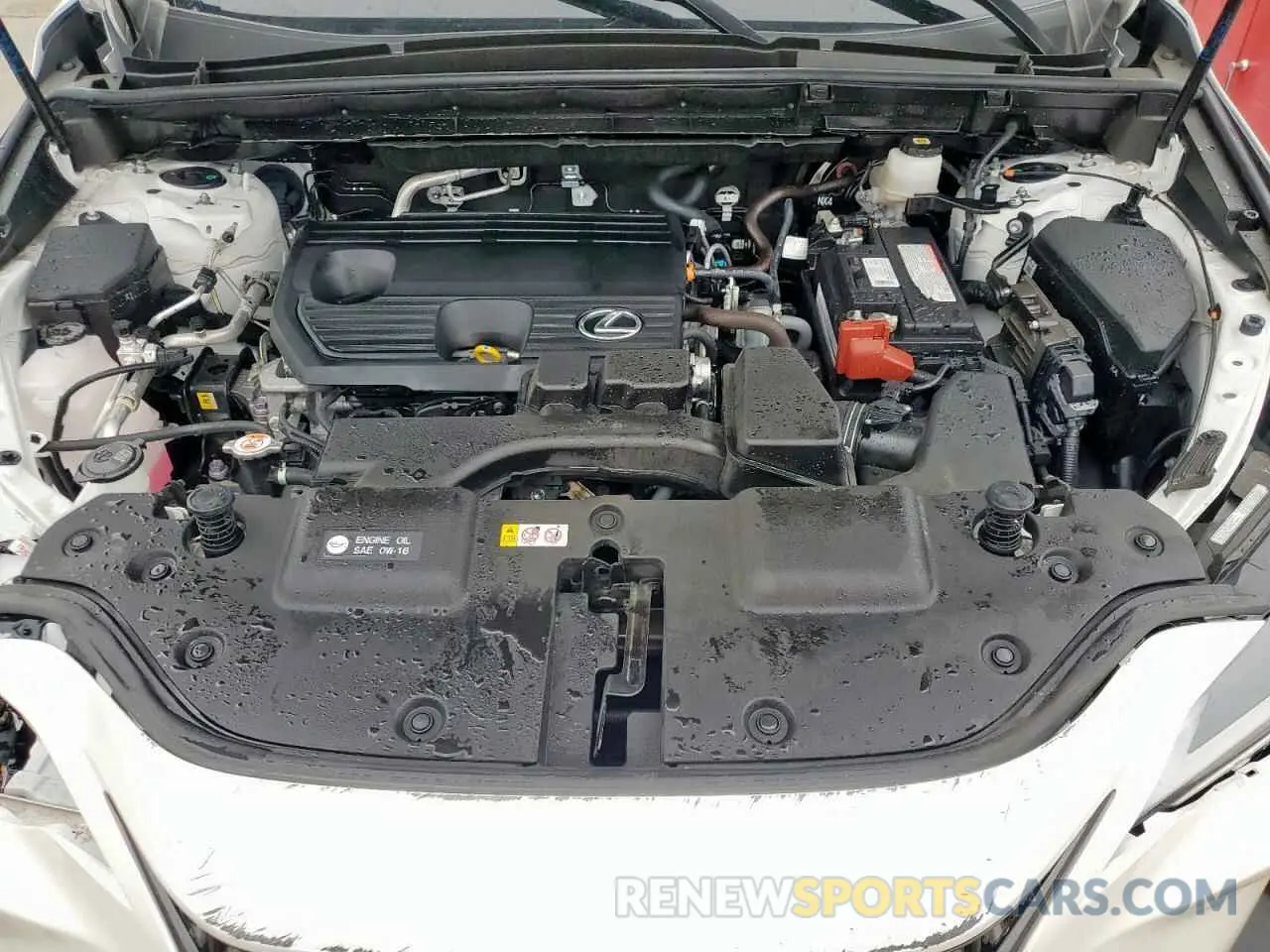 12 Photograph of a damaged car JTJGDCAZ1R5015072 LEXUS NX 250 PRE 2024